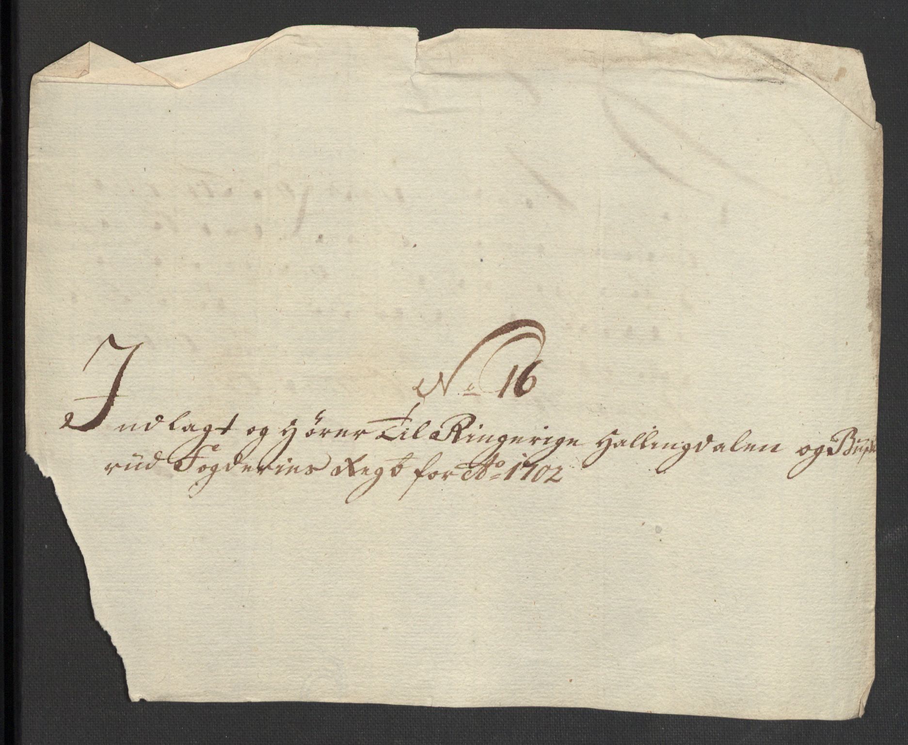 Rentekammeret inntil 1814, Reviderte regnskaper, Fogderegnskap, RA/EA-4092/R22/L1459: Fogderegnskap Ringerike, Hallingdal og Buskerud, 1702, p. 285