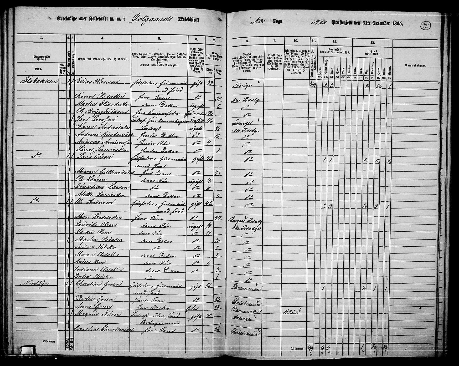 RA, 1865 census for Nes, 1865, p. 296