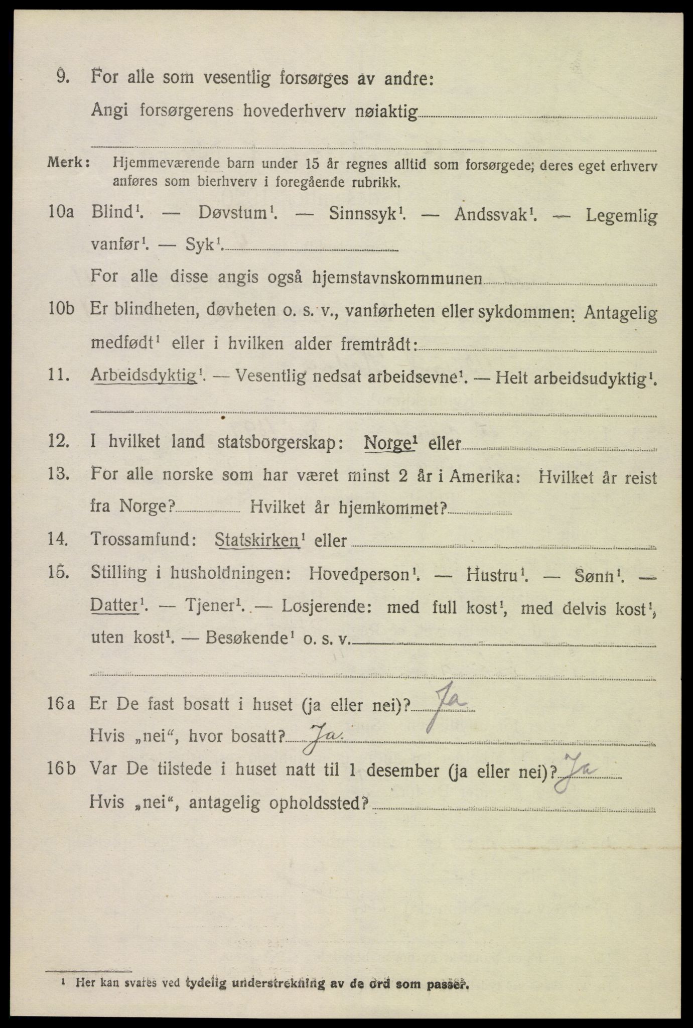 SAK, 1920 census for Hornnes, 1920, p. 2642