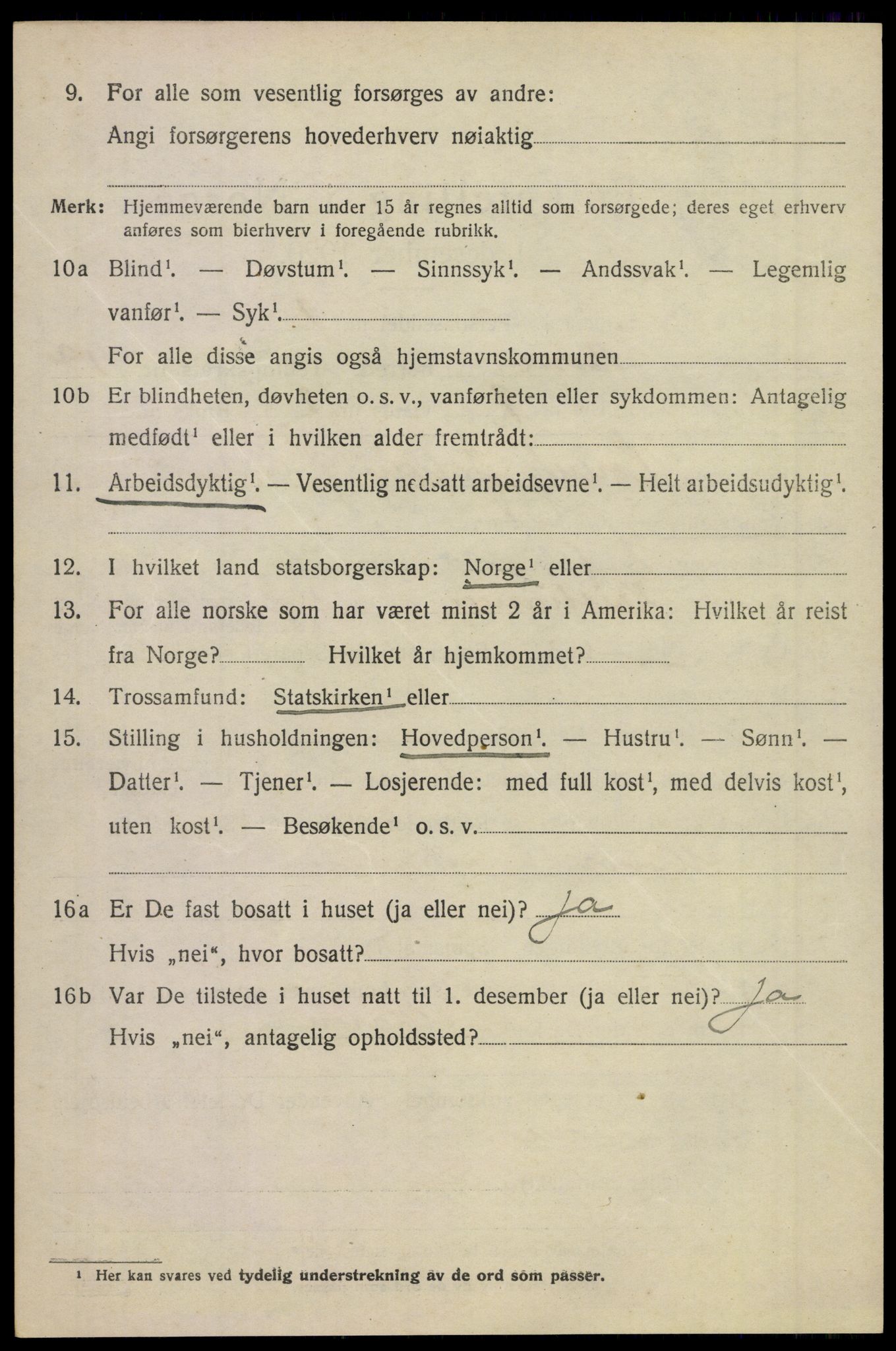 SAKO, 1920 census for Borre, 1920, p. 1397