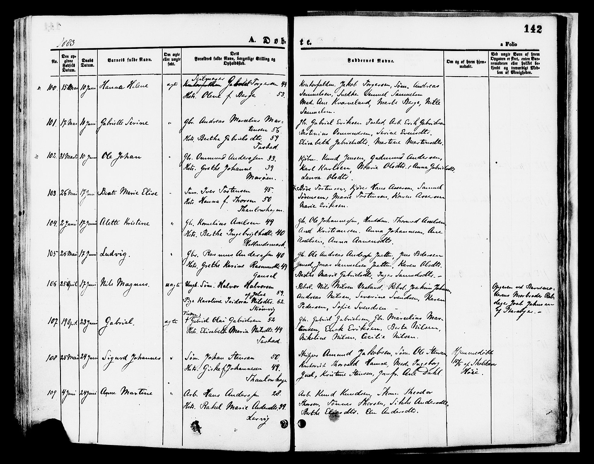 Hetland sokneprestkontor, AV/SAST-A-101826/30/30BA/L0008: Parish register (official) no. A 8, 1877-1884, p. 142