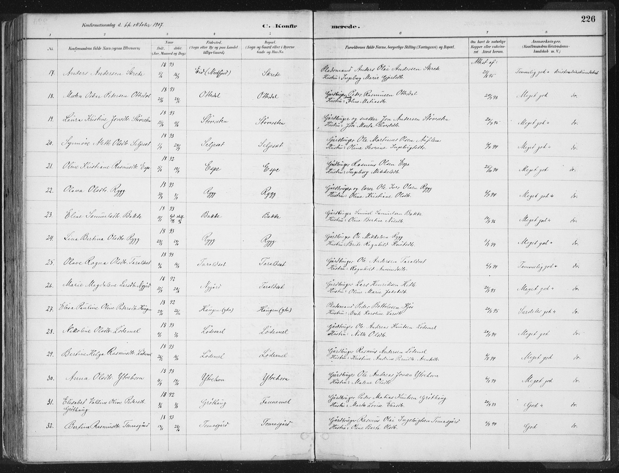 Hornindal sokneprestembete, AV/SAB-A-82401/H/Haa/Haaa/L0003/0001: Parish register (official) no. A 3A, 1887-1917, p. 226