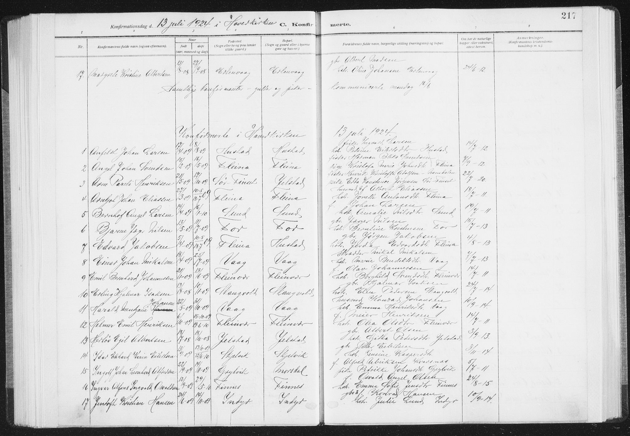 Ministerialprotokoller, klokkerbøker og fødselsregistre - Nordland, AV/SAT-A-1459/805/L0104: Parish register (official) no. 805A09, 1909-1926, p. 217