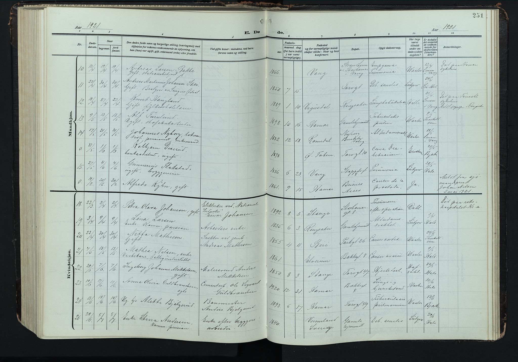 Hamar prestekontor, AV/SAH-DOMPH-002/H/Ha/Hab/L0004: Parish register (copy) no. 4, 1915-1942, p. 251