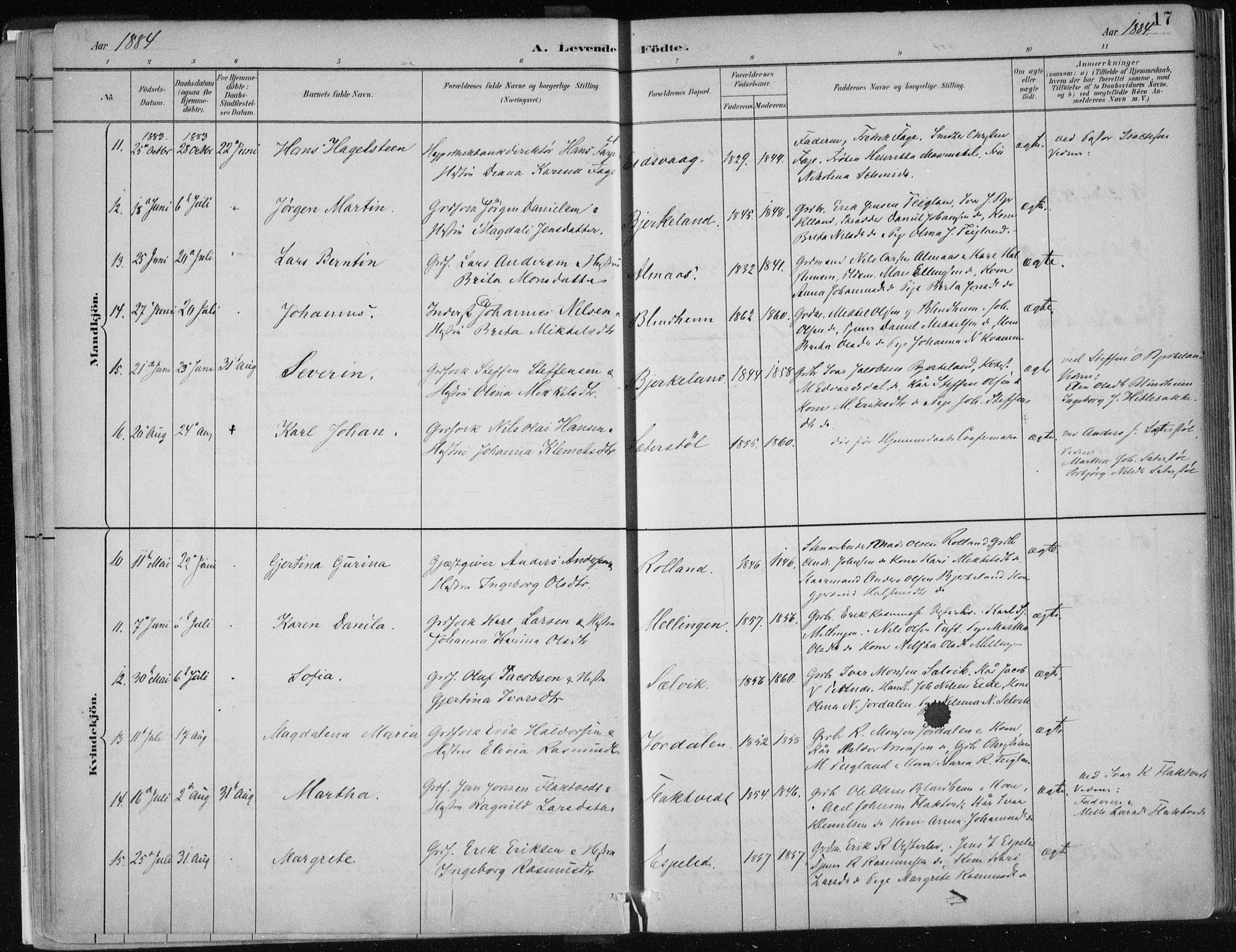 Hamre sokneprestembete, AV/SAB-A-75501/H/Ha/Haa/Haad/L0001: Parish register (official) no. D  1, 1882-1906, p. 17