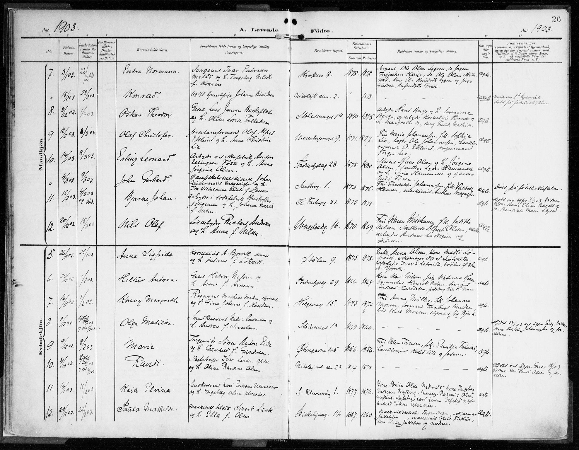 Mariakirken Sokneprestembete, AV/SAB-A-76901/H/Haa/L0010: Parish register (official) no. B 1, 1901-1915, p. 26