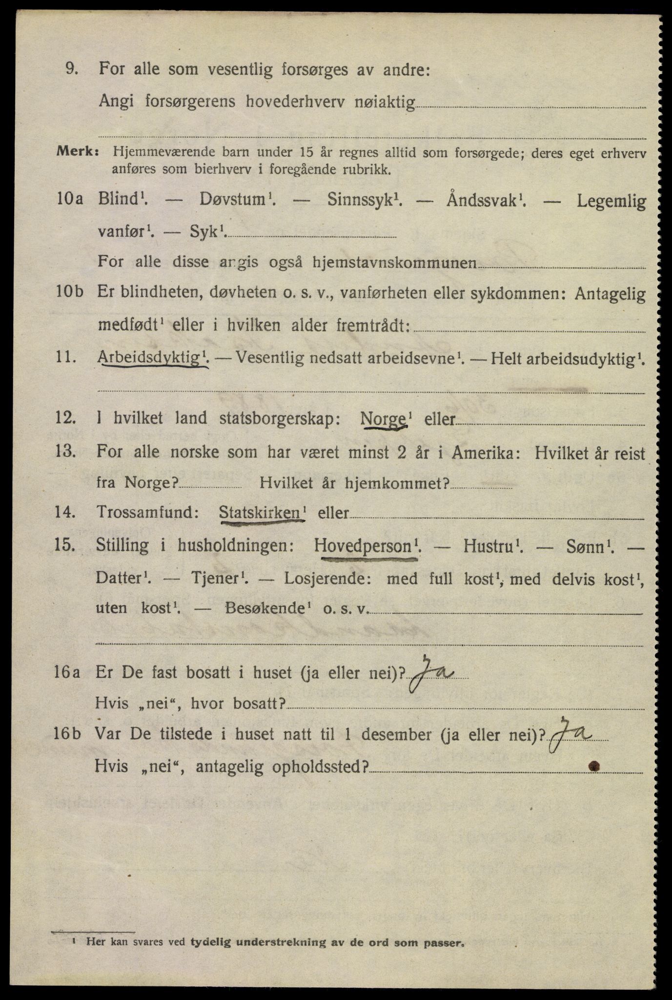 SAKO, 1920 census for Porsgrunn, 1920, p. 17396