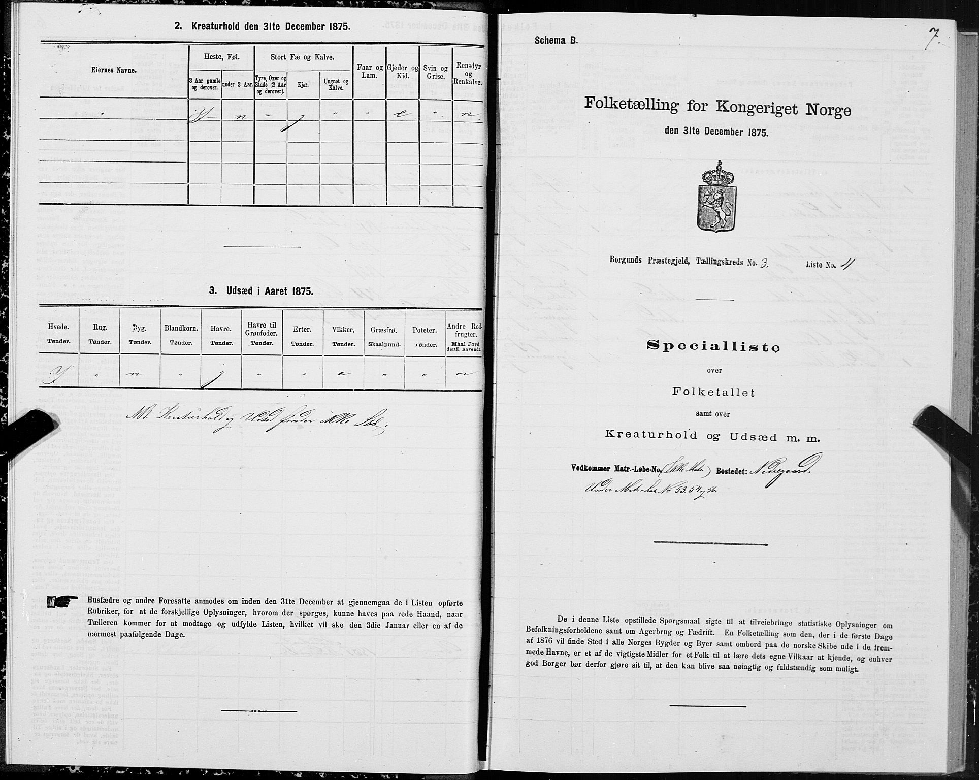 SAT, 1875 census for 1531P Borgund, 1875, p. 2007