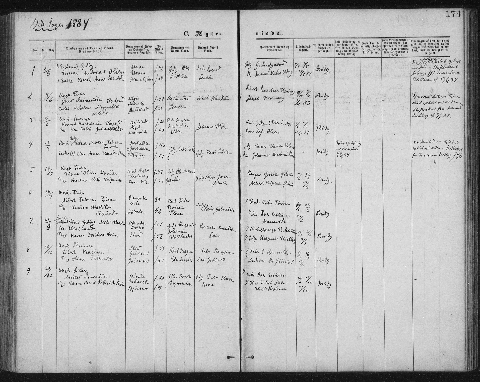 Ministerialprotokoller, klokkerbøker og fødselsregistre - Nord-Trøndelag, AV/SAT-A-1458/771/L0596: Parish register (official) no. 771A03, 1870-1884, p. 174