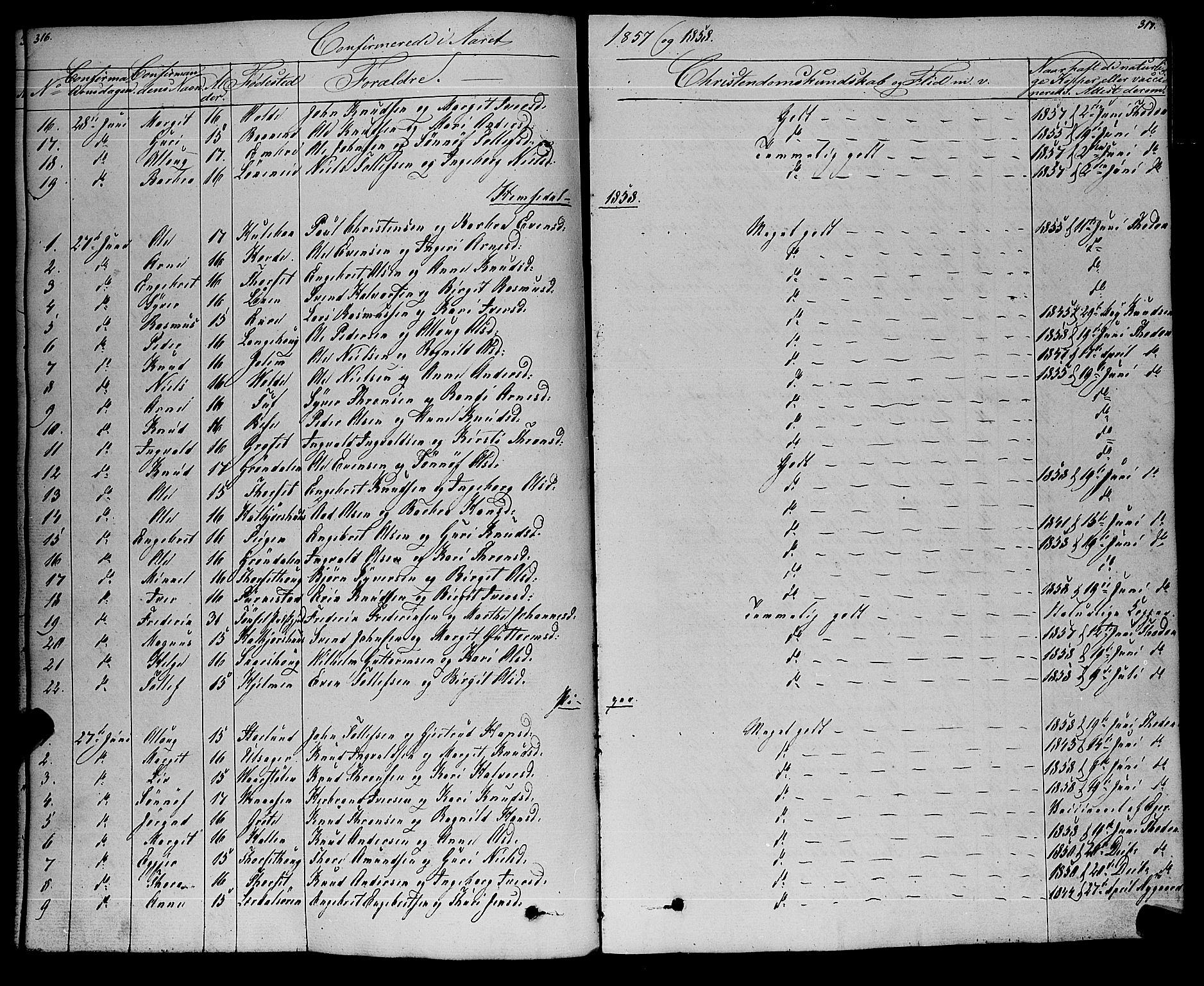 Gol kirkebøker, SAKO/A-226/F/Fa/L0002: Parish register (official) no. I 2, 1837-1863, p. 316-317