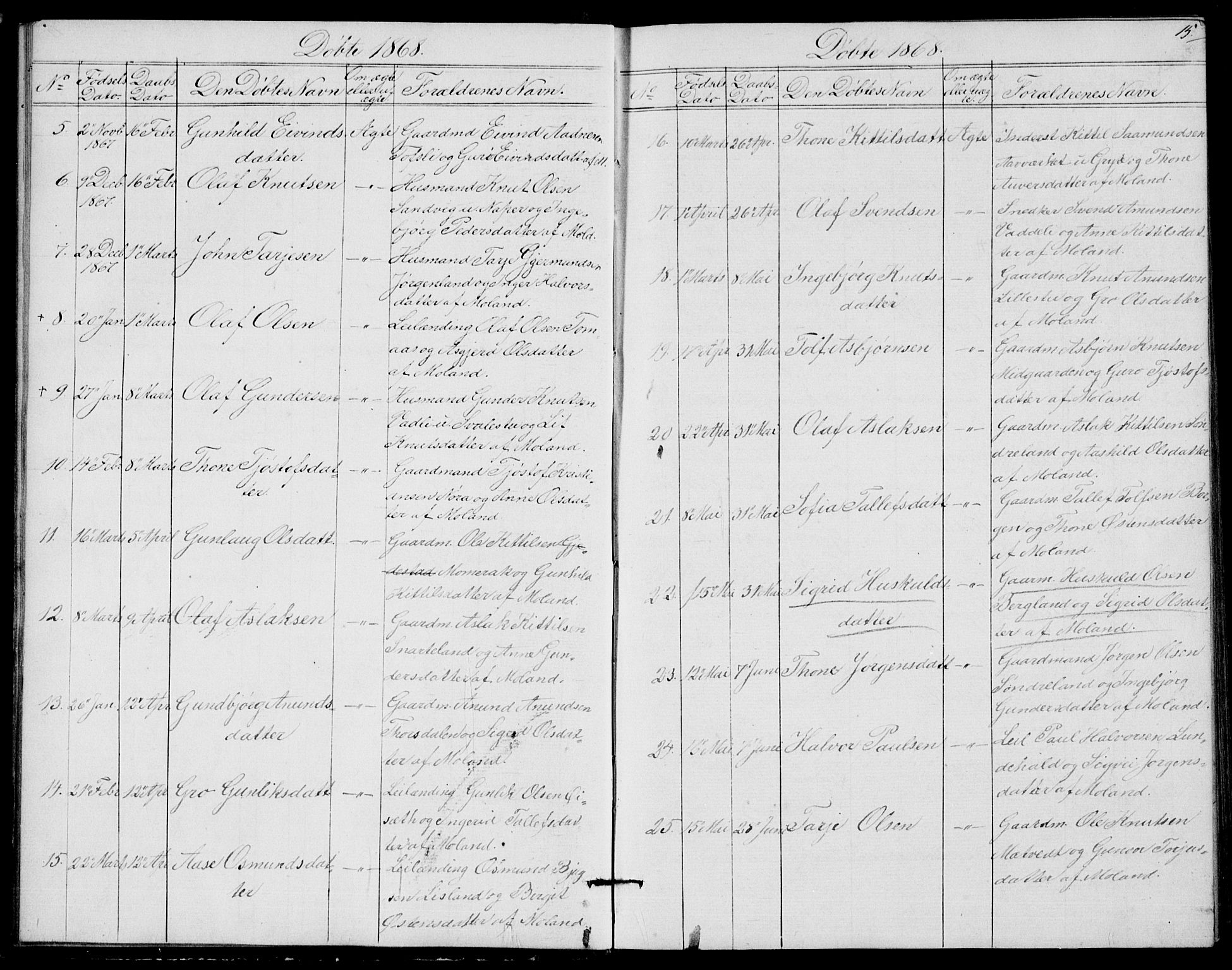 Fyresdal kirkebøker, SAKO/A-263/G/Ga/L0004: Parish register (copy) no. I 4, 1864-1892, p. 15