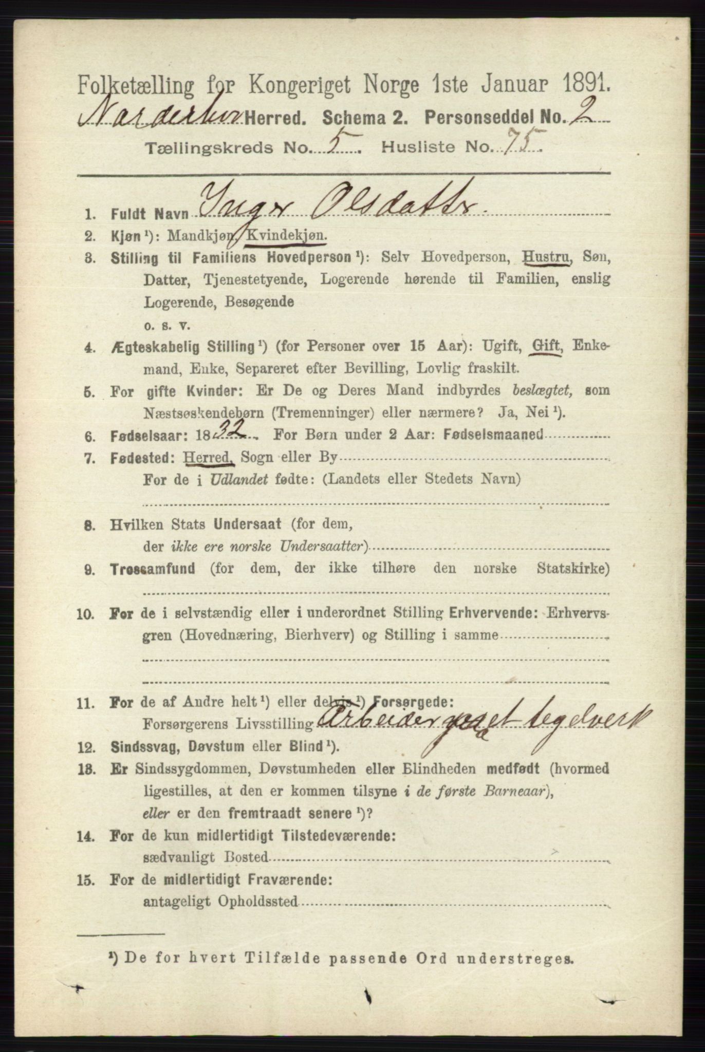 RA, 1891 census for 0613 Norderhov, 1891, p. 3924