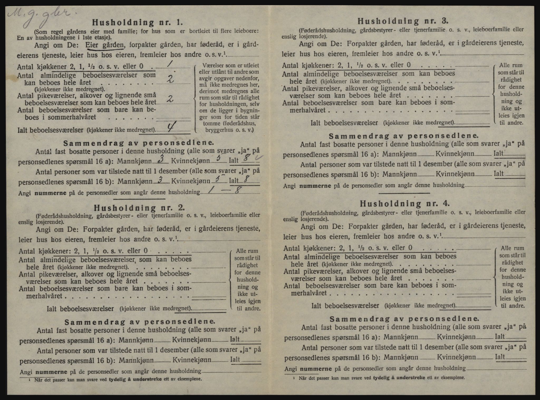 SAT, 1920 census for Tydal, 1920, p. 300