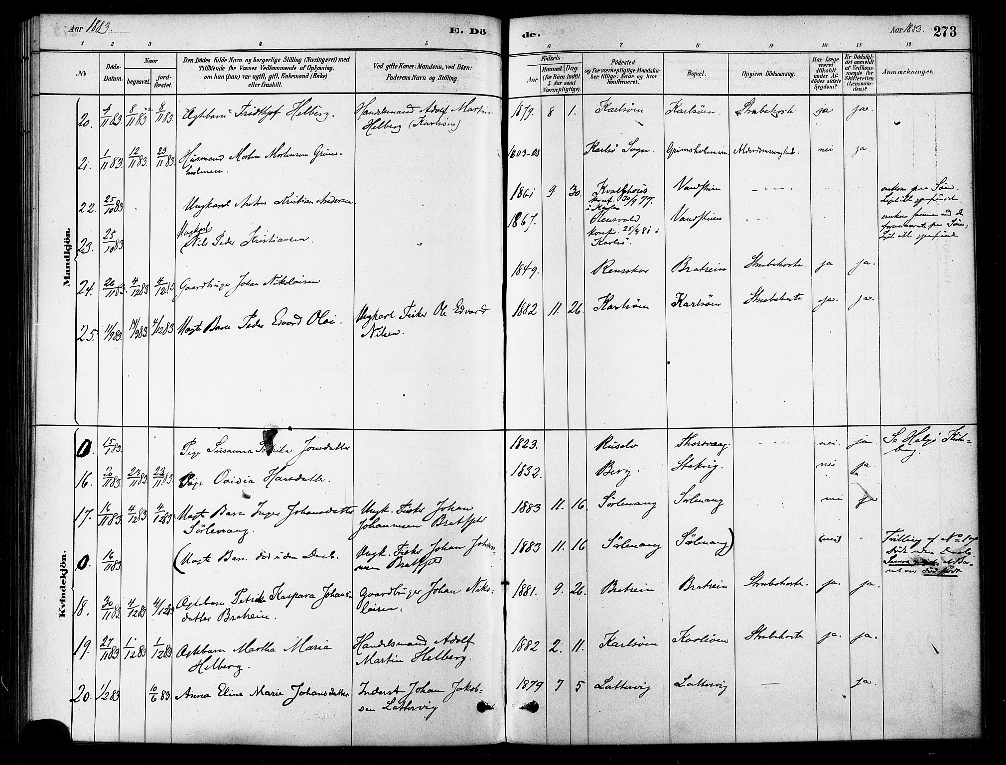 Karlsøy sokneprestembete, AV/SATØ-S-1299/H/Ha/Haa/L0006kirke: Parish register (official) no. 6, 1879-1890, p. 273