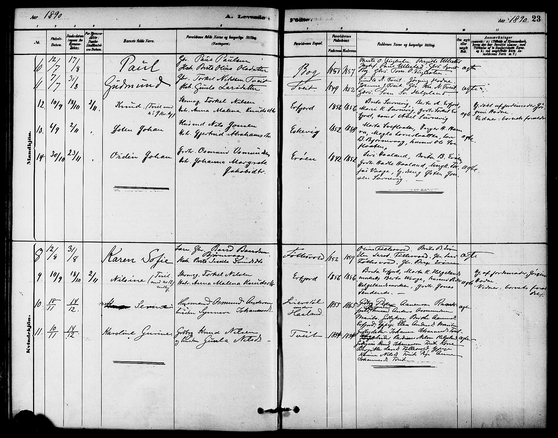 Jelsa sokneprestkontor, AV/SAST-A-101842/01/IV: Parish register (official) no. A 9, 1878-1898, p. 23