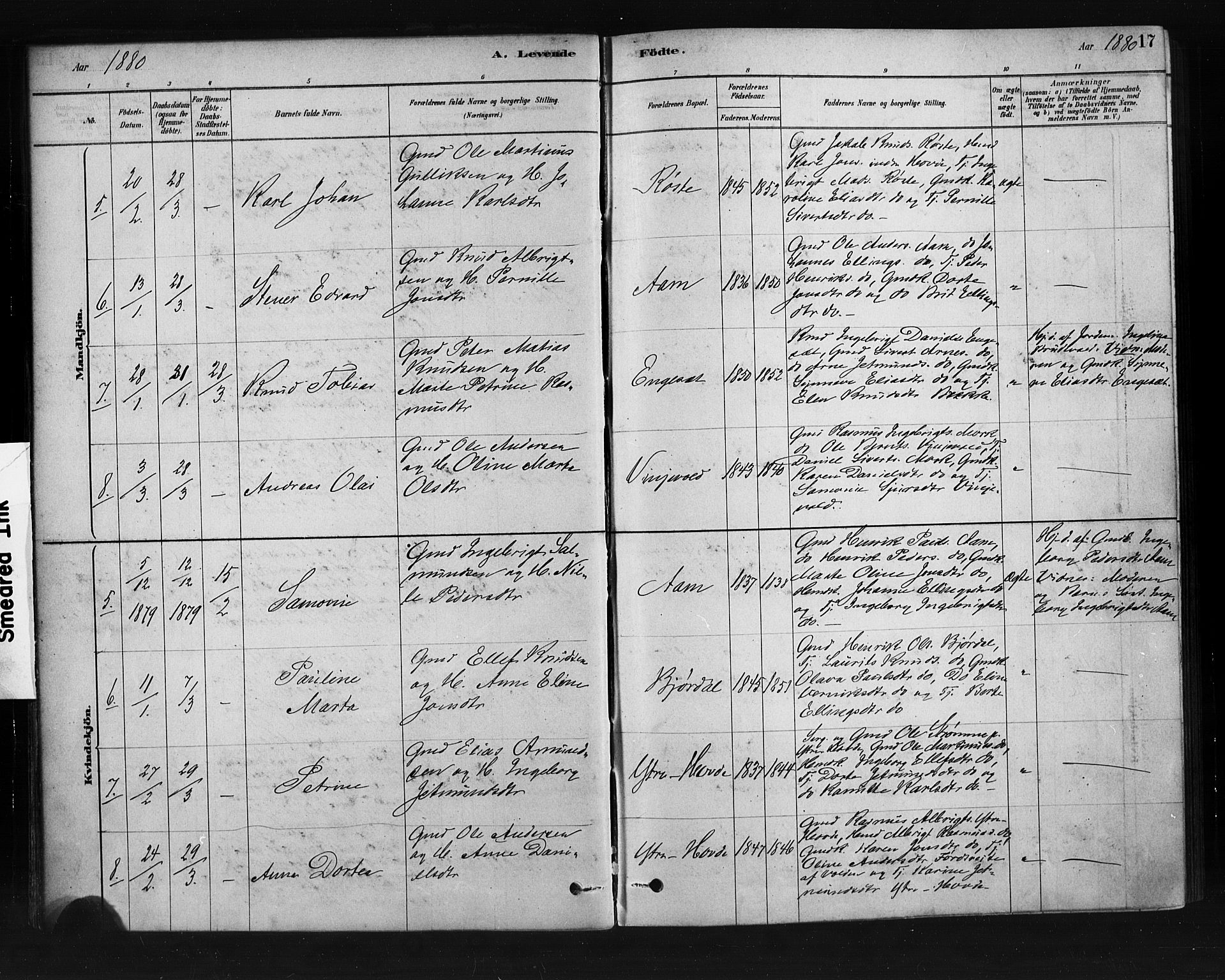 Ministerialprotokoller, klokkerbøker og fødselsregistre - Møre og Romsdal, AV/SAT-A-1454/513/L0176: Parish register (official) no. 513A03, 1877-1889, p. 17