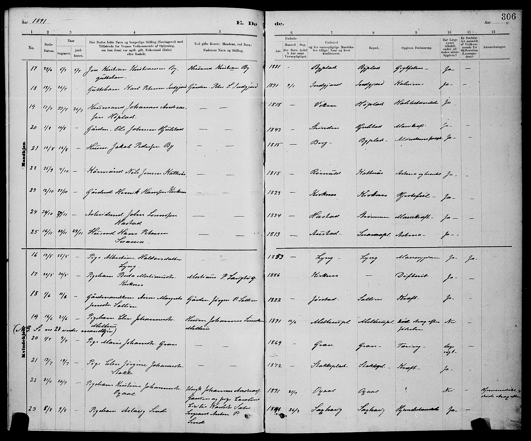 Ministerialprotokoller, klokkerbøker og fødselsregistre - Nord-Trøndelag, AV/SAT-A-1458/730/L0301: Parish register (copy) no. 730C04, 1880-1897, p. 306