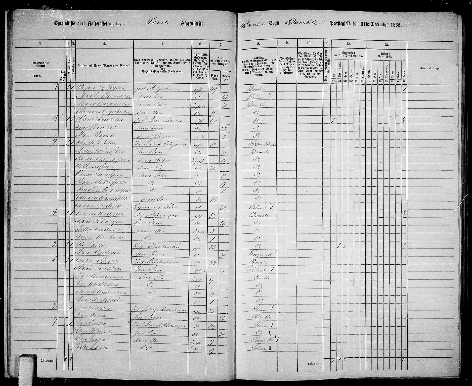 RA, 1865 census for Bamble, 1865, p. 20