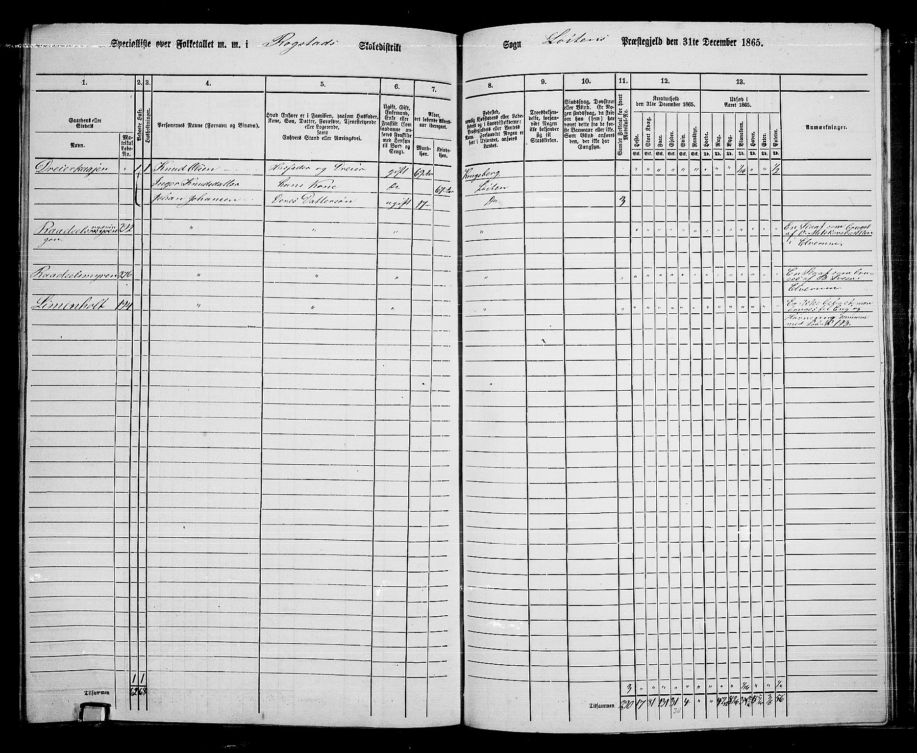 RA, 1865 census for Løten, 1865, p. 168