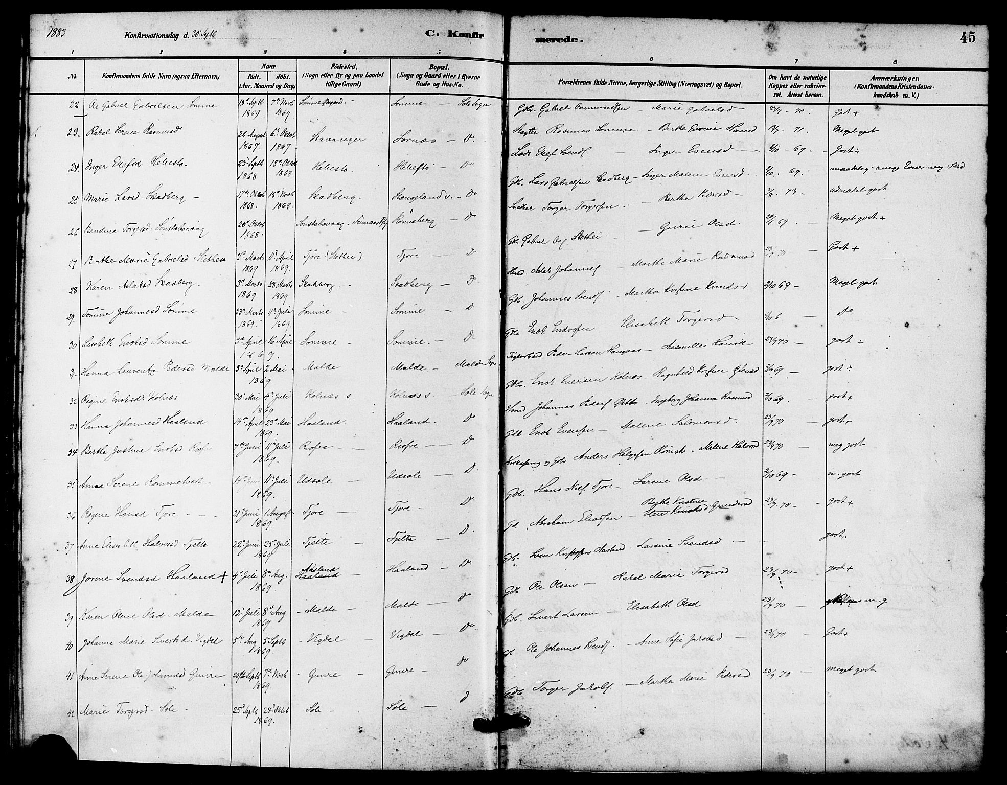 Håland sokneprestkontor, AV/SAST-A-101802/001/30BA/L0010: Parish register (official) no. A 9, 1883-1888, p. 45