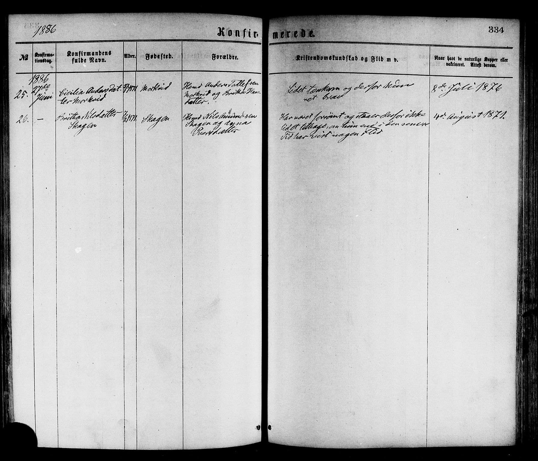 Luster sokneprestembete, AV/SAB-A-81101/H/Haa/Haaa/L0010: Parish register (official) no. A 10, 1871-1886, p. 334