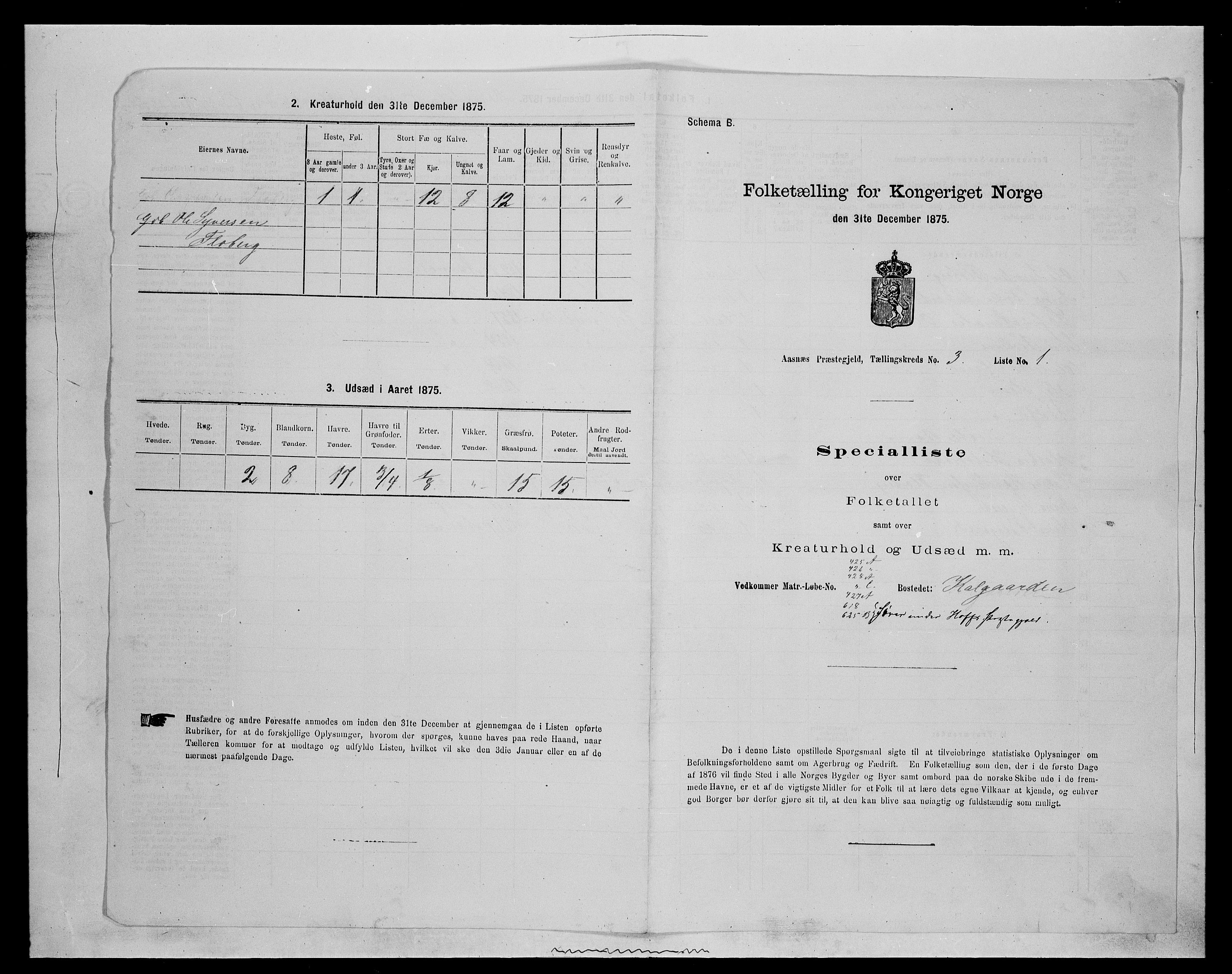 SAH, 1875 census for 0425P Åsnes, 1875, p. 306