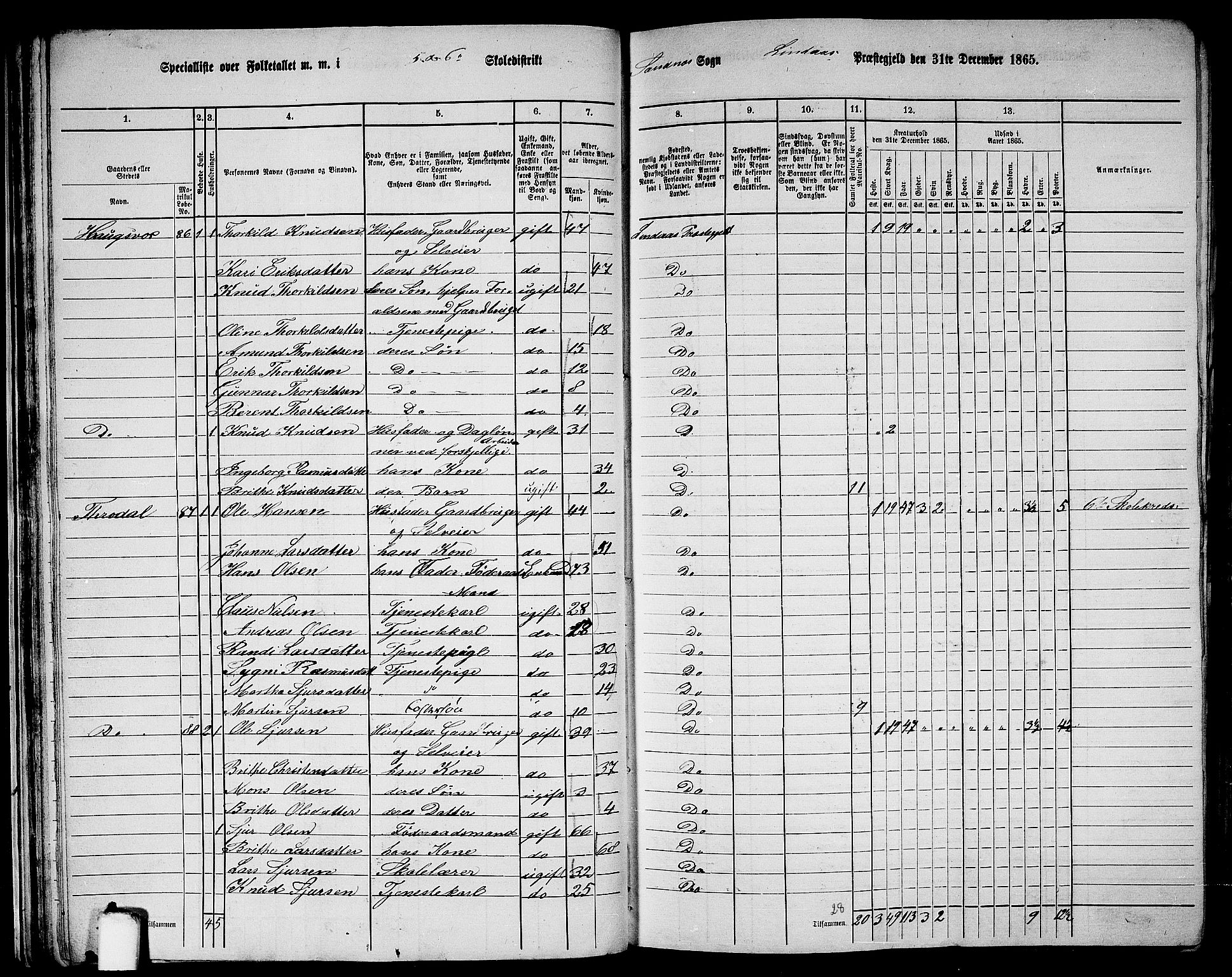 RA, 1865 census for Lindås, 1865, p. 49