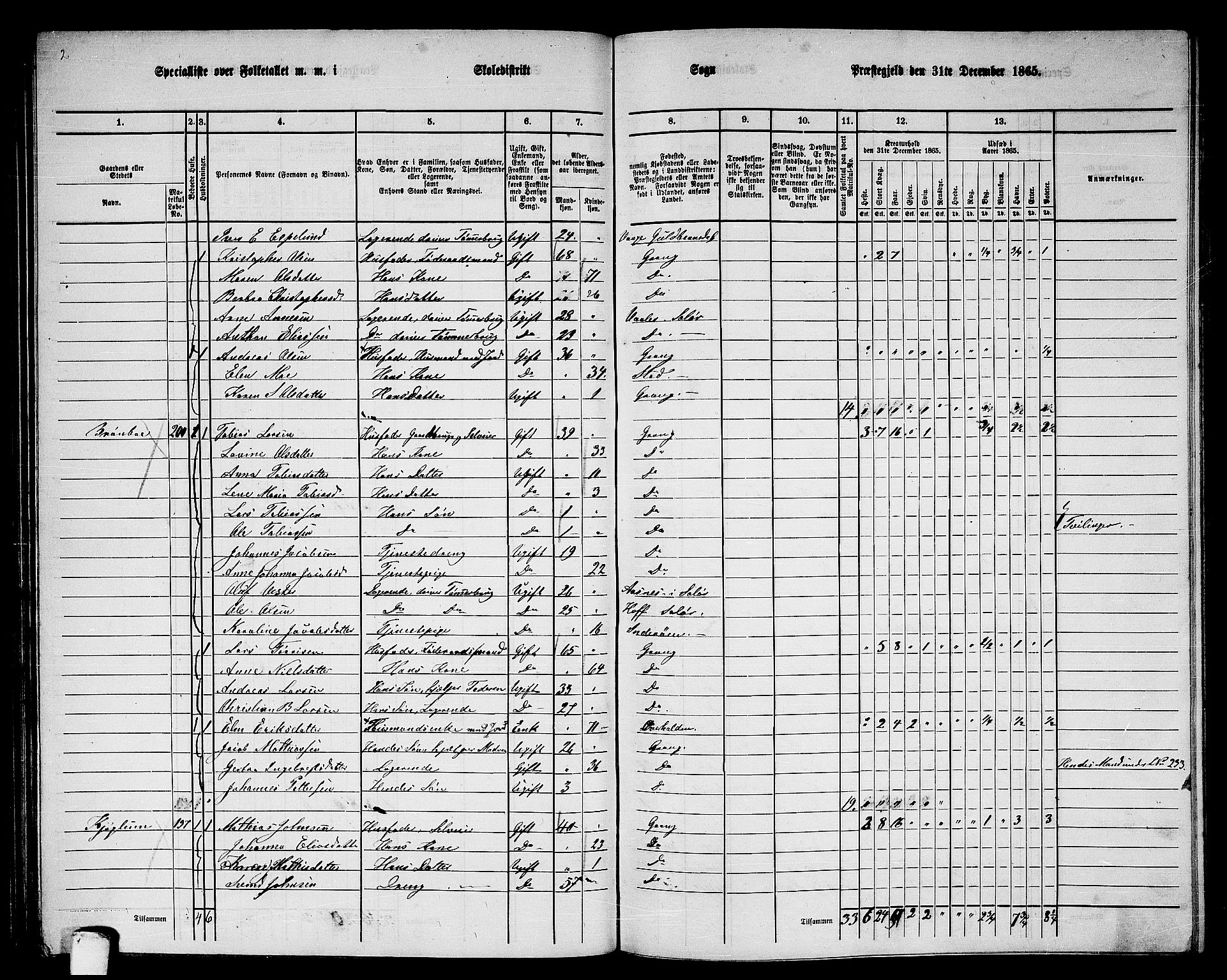 RA, 1865 census for Grong, 1865, p. 75