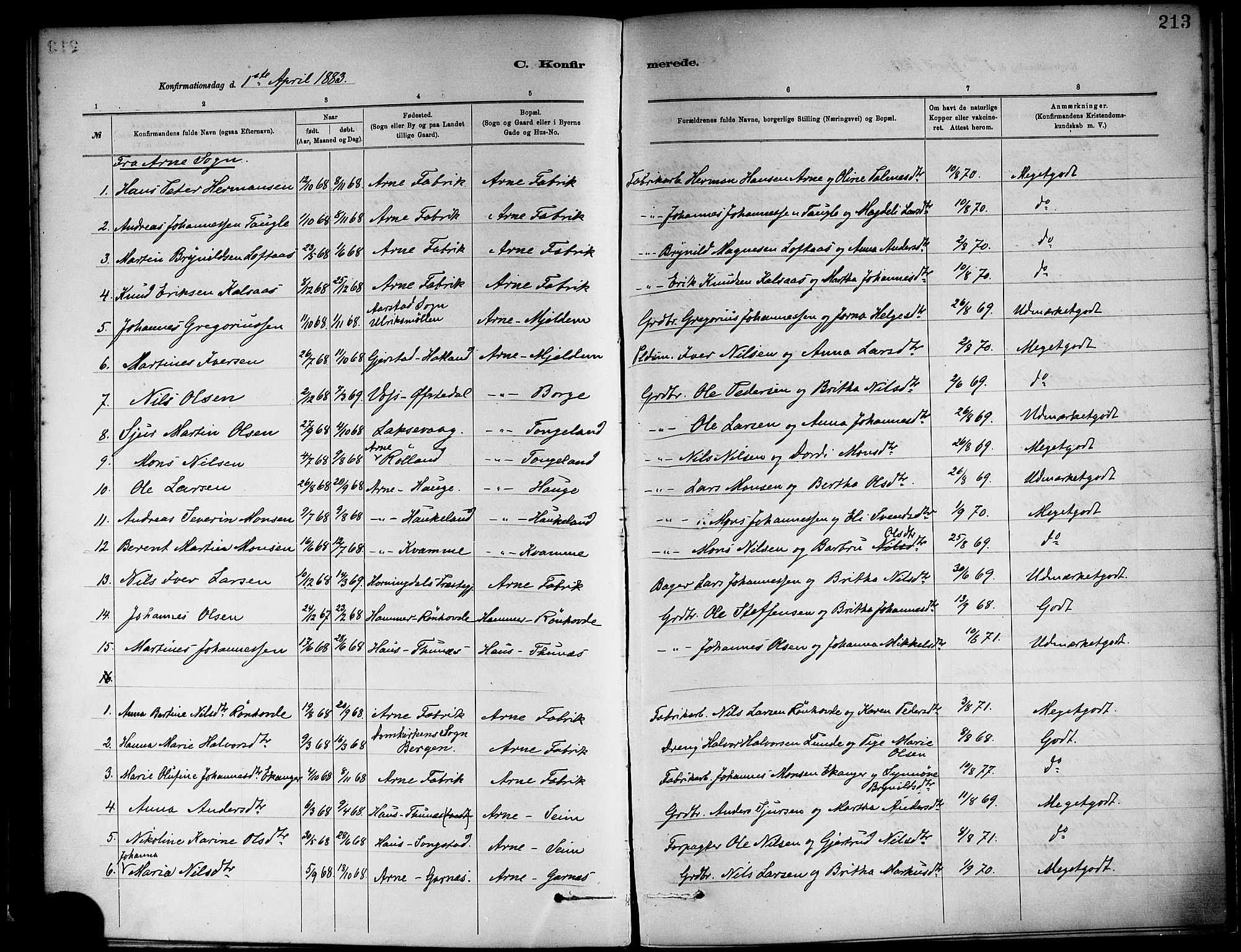 Haus sokneprestembete, SAB/A-75601/H/Haa: Parish register (official) no. A 19I, 1878-1886, p. 213