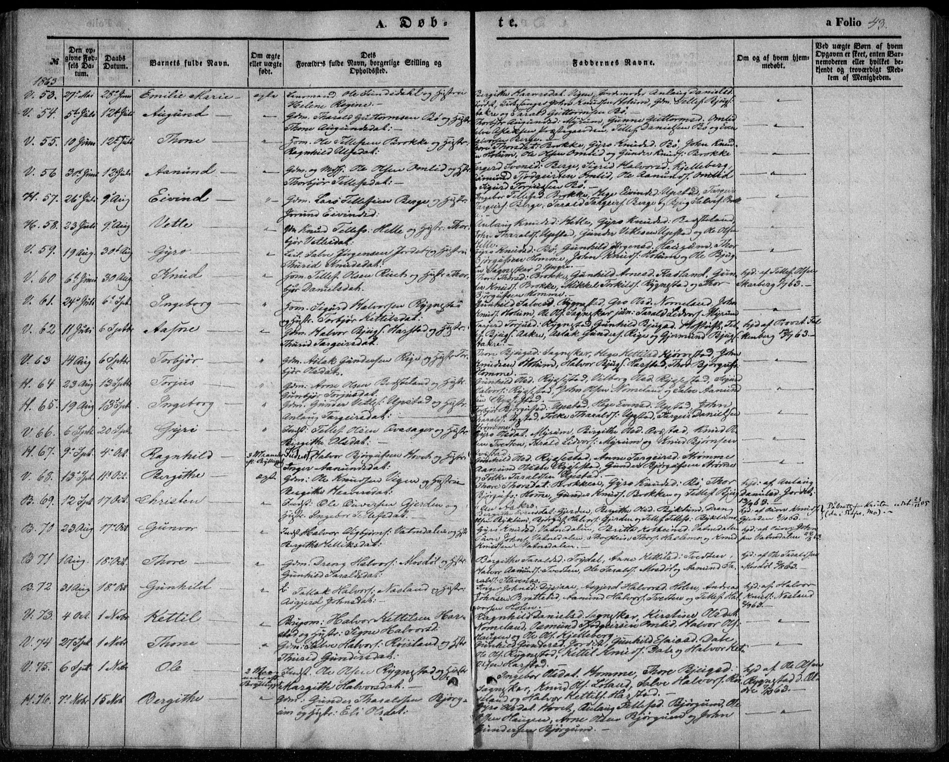 Valle sokneprestkontor, SAK/1111-0044/F/Fa/Fac/L0007: Parish register (official) no. A 7, 1854-1868, p. 43