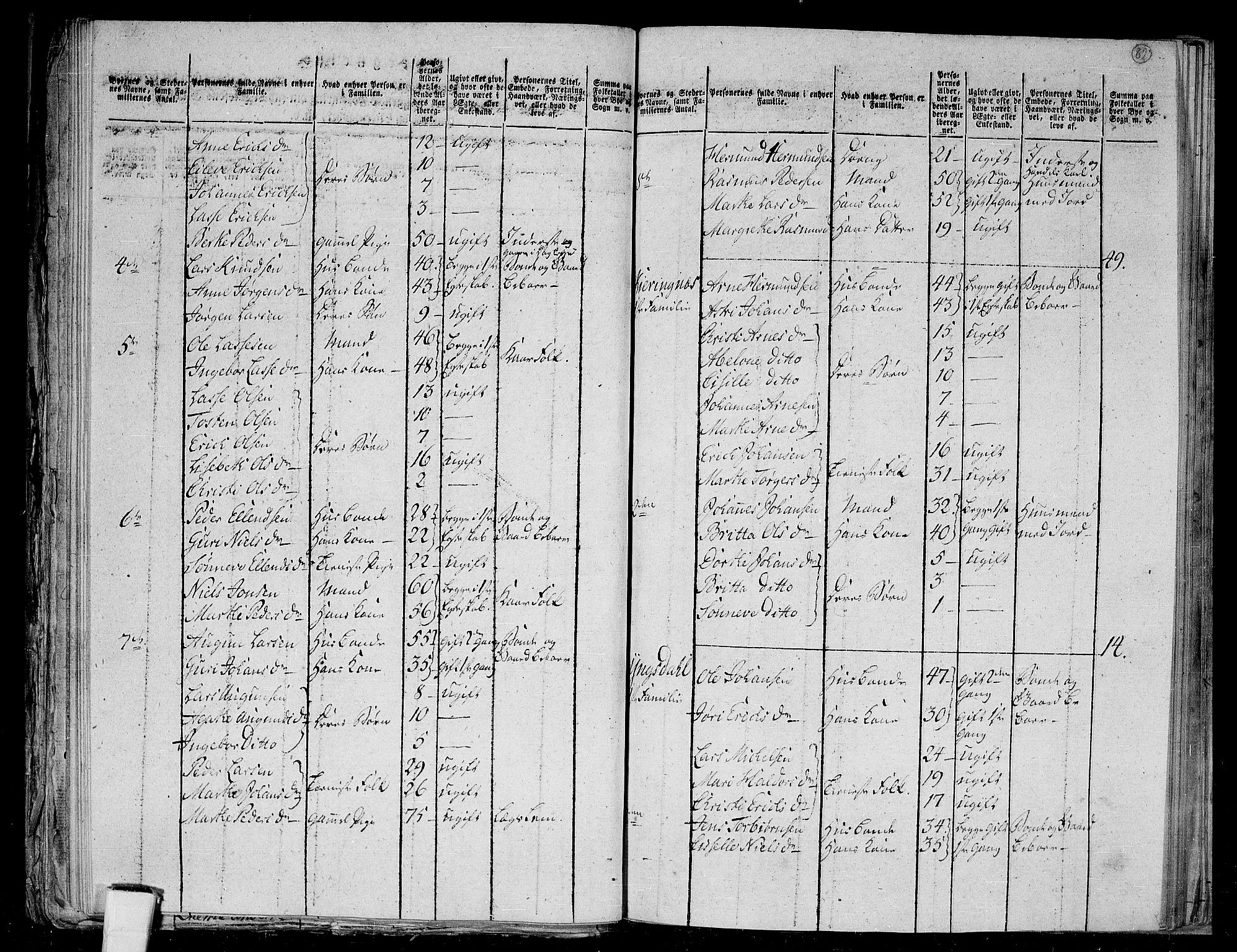 RA, 1801 census for 1425P Hafslo, 1801, p. 81b-82a