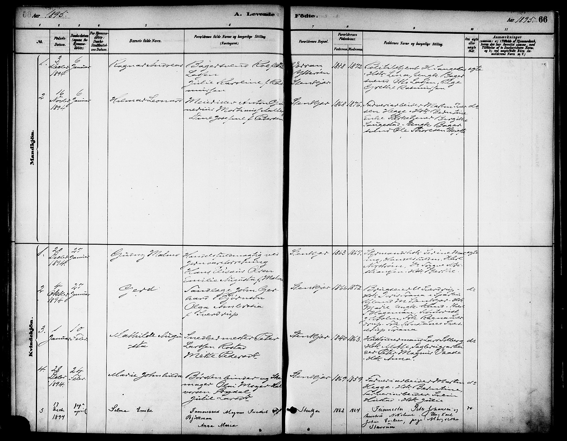 Ministerialprotokoller, klokkerbøker og fødselsregistre - Nord-Trøndelag, AV/SAT-A-1458/739/L0371: Parish register (official) no. 739A03, 1881-1895, p. 66