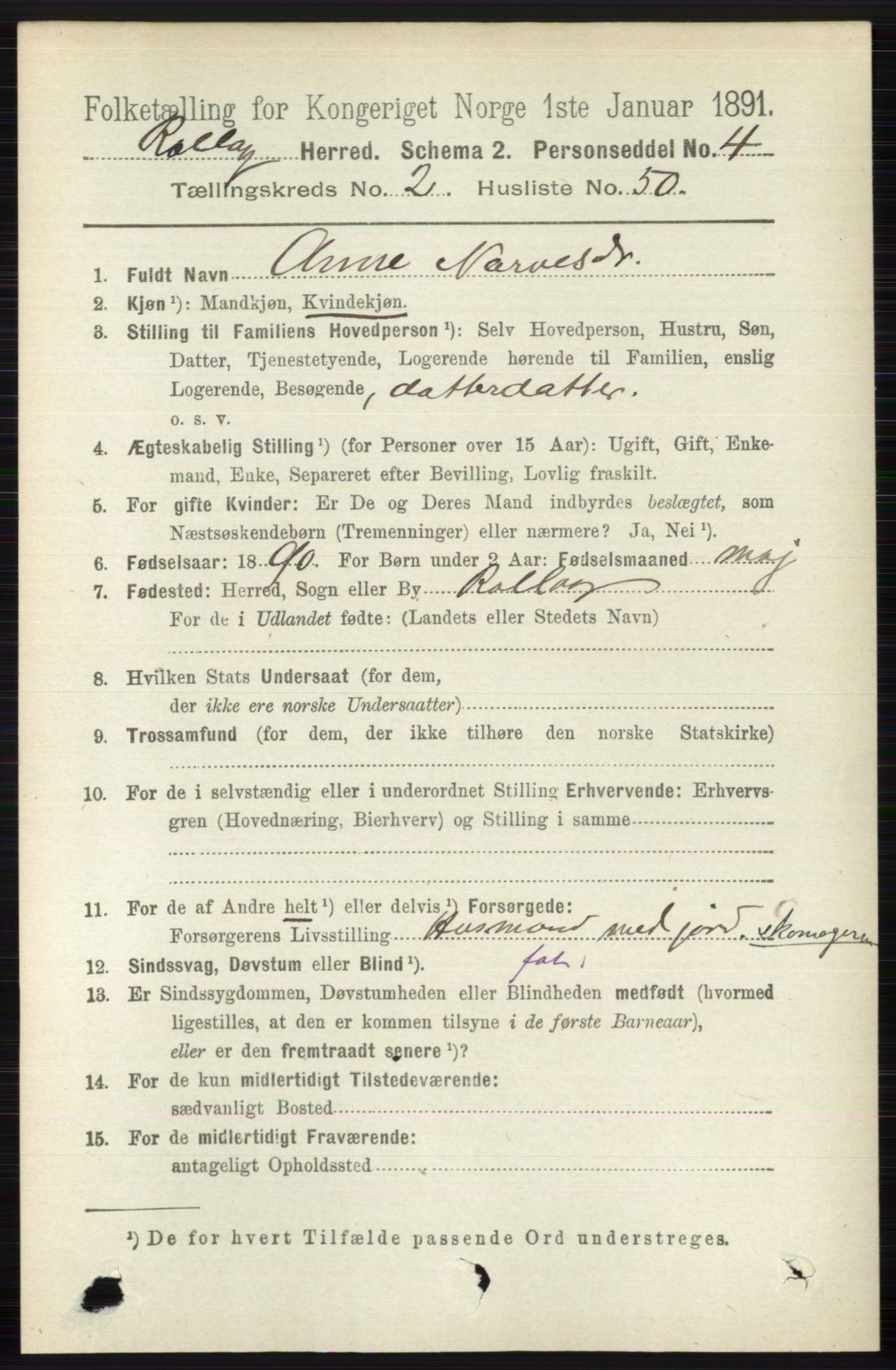 RA, 1891 census for 0632 Rollag, 1891, p. 741