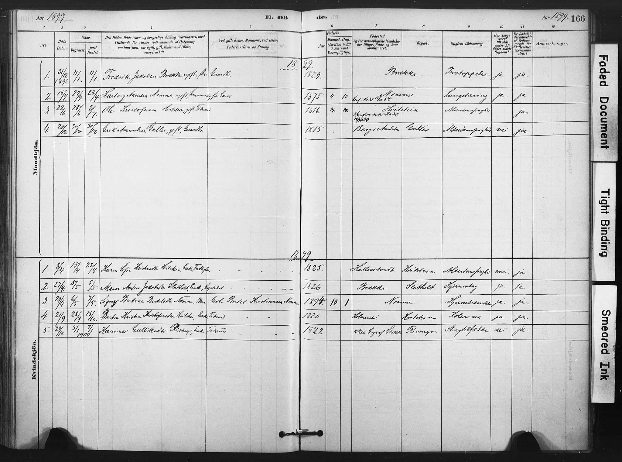 Andebu kirkebøker, AV/SAKO-A-336/F/Fa/L0008: Parish register (official) no. 8, 1878-1902, p. 166