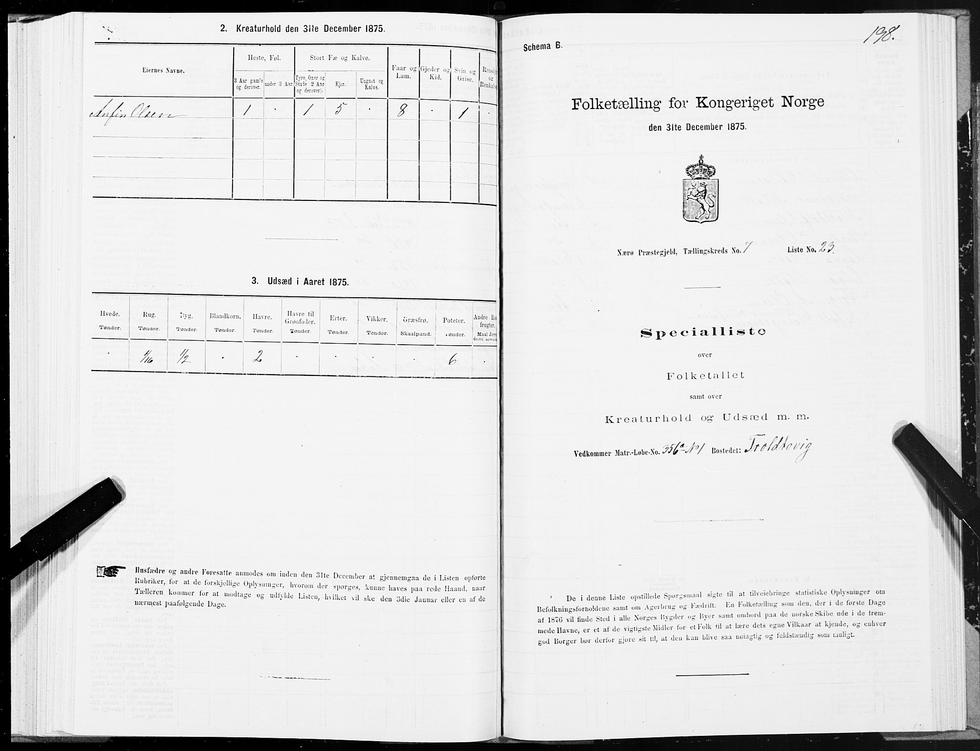 SAT, 1875 census for 1751P Nærøy, 1875, p. 3198