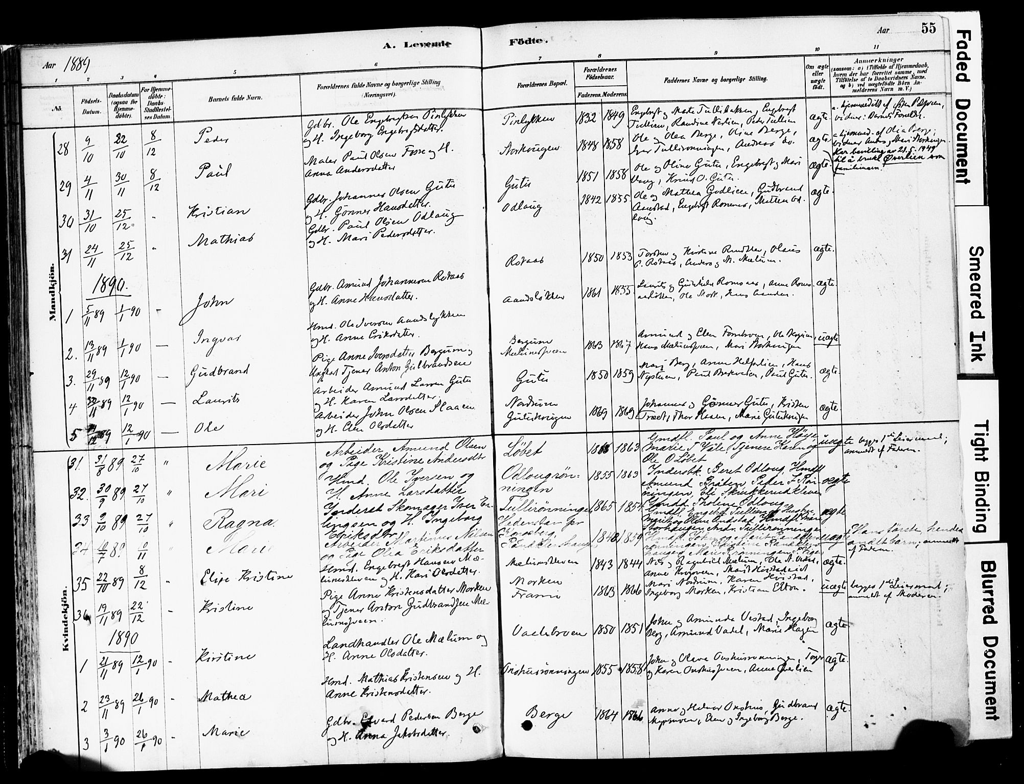 Ringebu prestekontor, SAH/PREST-082/H/Ha/Haa/L0008: Parish register (official) no. 8, 1878-1898, p. 55