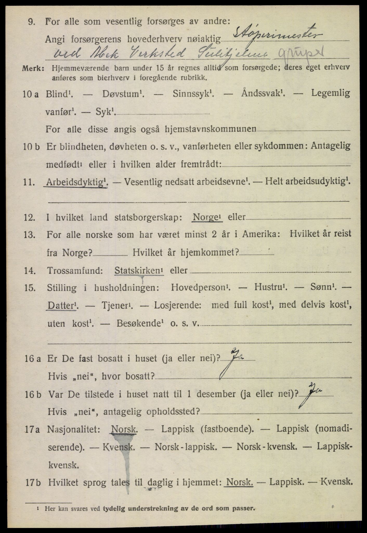 SAT, 1920 census for Fauske, 1920, p. 4181