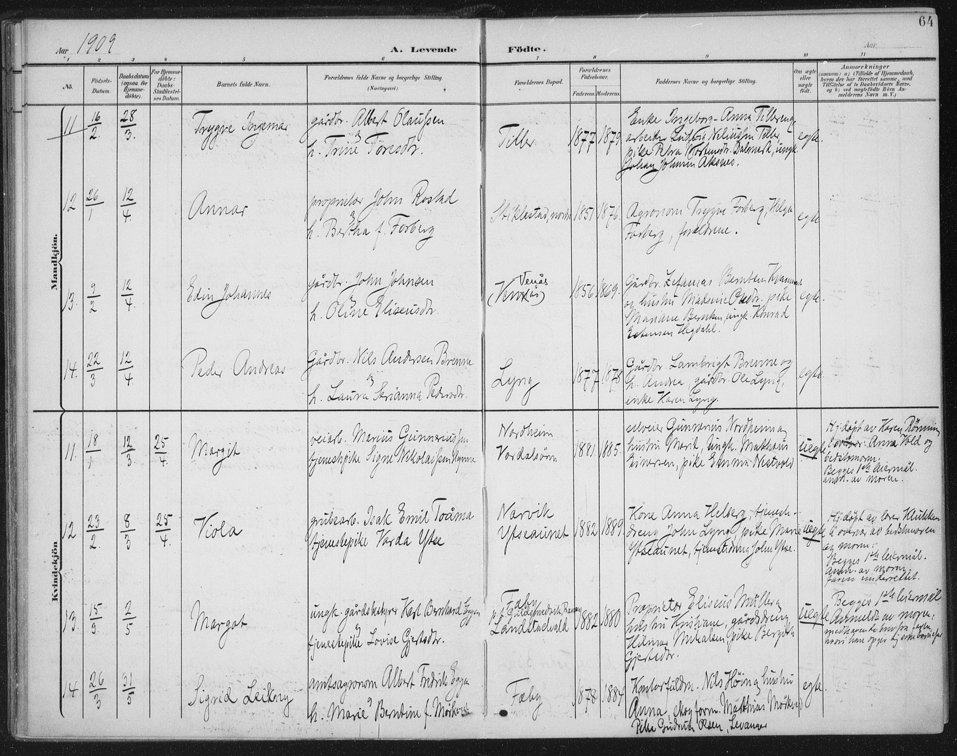 Ministerialprotokoller, klokkerbøker og fødselsregistre - Nord-Trøndelag, AV/SAT-A-1458/723/L0246: Parish register (official) no. 723A15, 1900-1917, p. 64