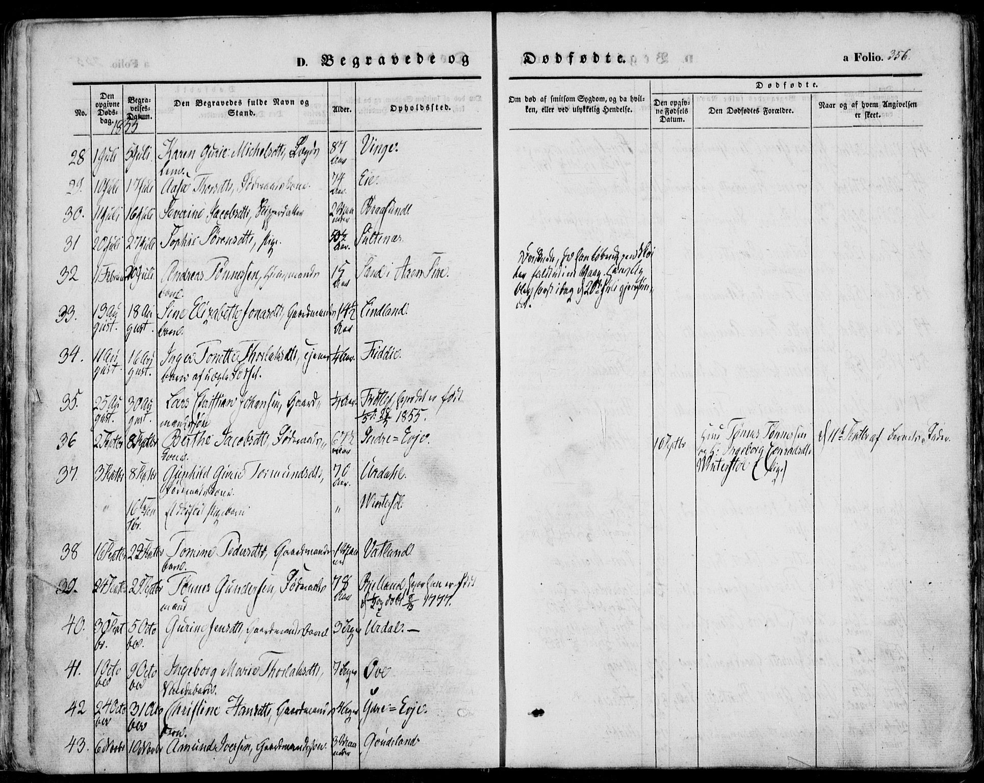 Sokndal sokneprestkontor, SAST/A-101808: Parish register (official) no. A 8.2, 1842-1857, p. 356