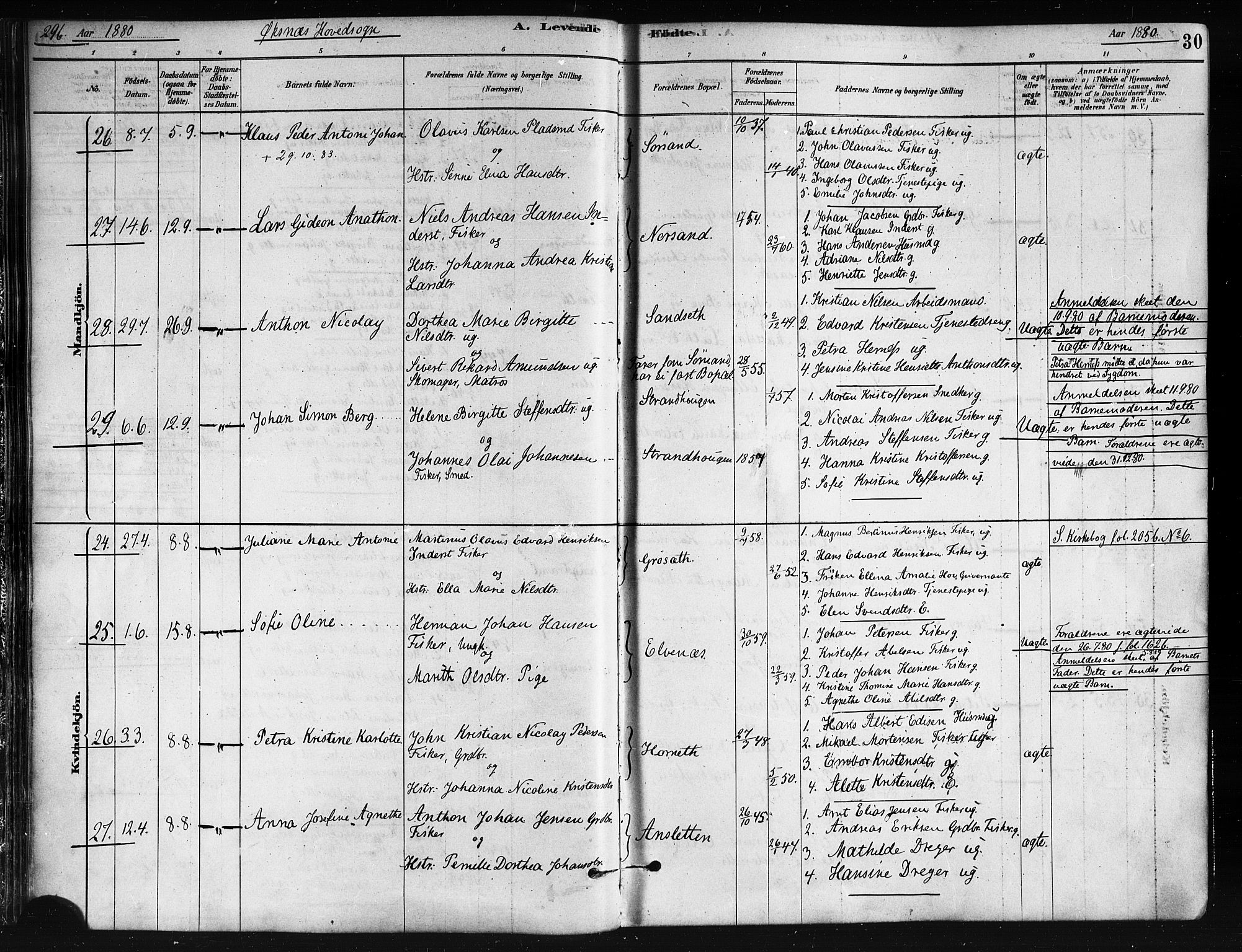 Ministerialprotokoller, klokkerbøker og fødselsregistre - Nordland, AV/SAT-A-1459/893/L1335: Parish register (official) no. 893A08 /1, 1878-1884, p. 30