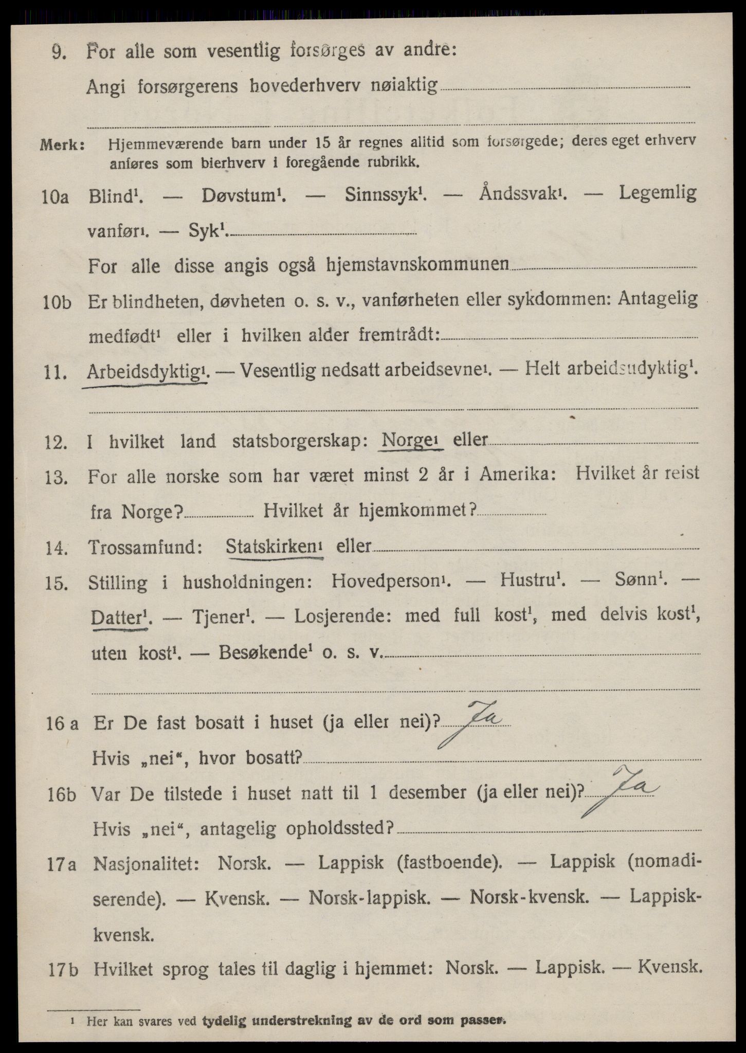 SAT, 1920 census for Hemne, 1920, p. 6511