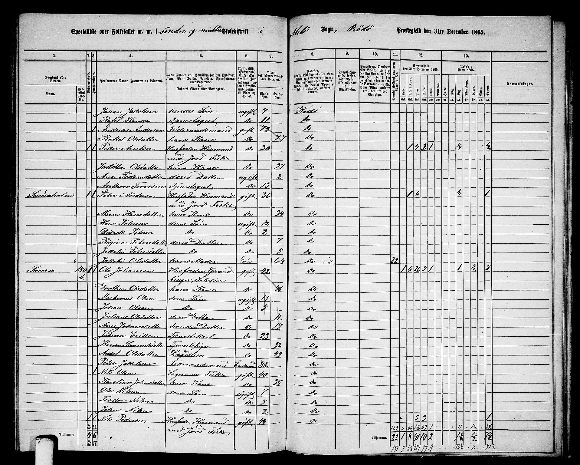 RA, 1865 census for Rødøy, 1865, p. 124