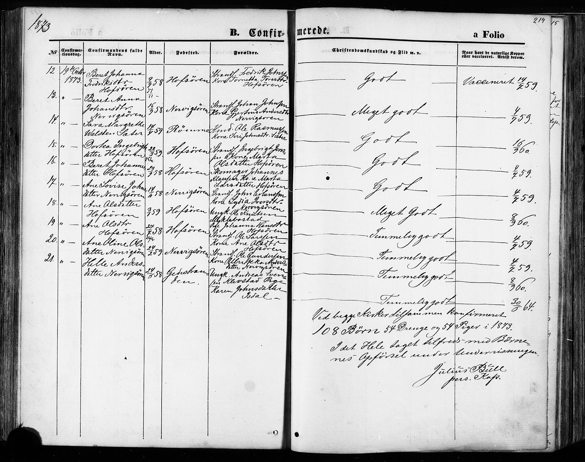 Ministerialprotokoller, klokkerbøker og fødselsregistre - Sør-Trøndelag, SAT/A-1456/668/L0807: Parish register (official) no. 668A07, 1870-1880, p. 214