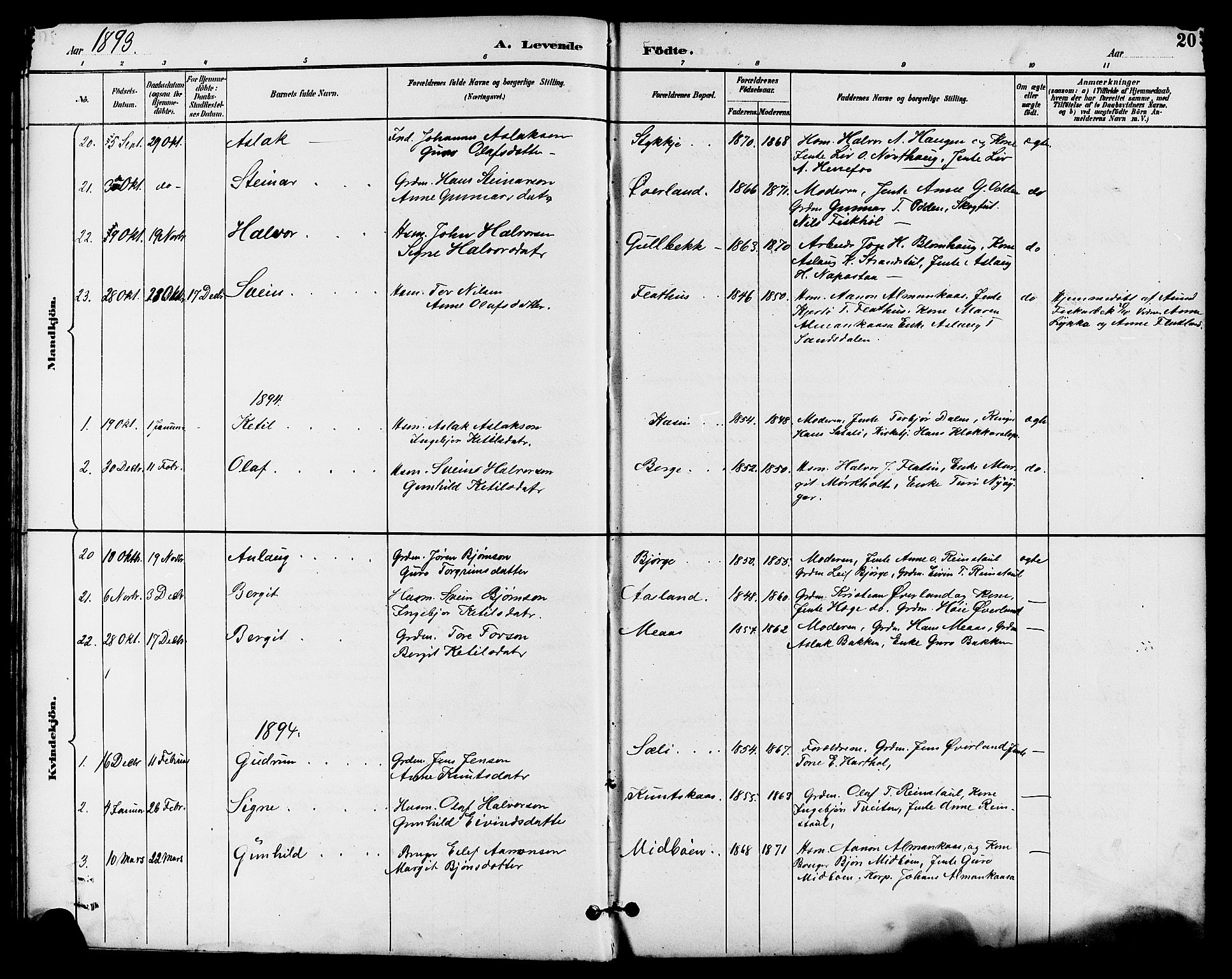 Seljord kirkebøker, AV/SAKO-A-20/G/Ga/L0005: Parish register (copy) no. I 5, 1887-1914, p. 20