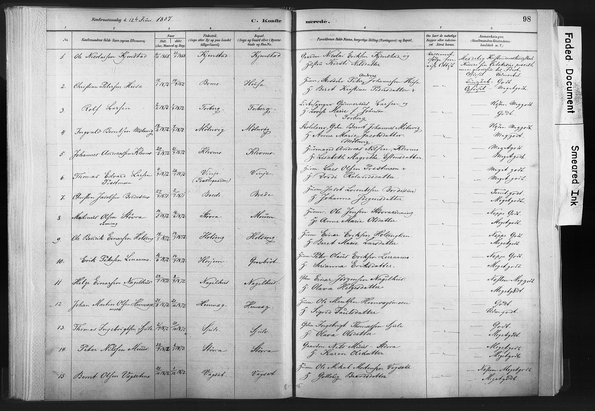 Ministerialprotokoller, klokkerbøker og fødselsregistre - Nord-Trøndelag, AV/SAT-A-1458/749/L0474: Parish register (official) no. 749A08, 1887-1903, p. 98