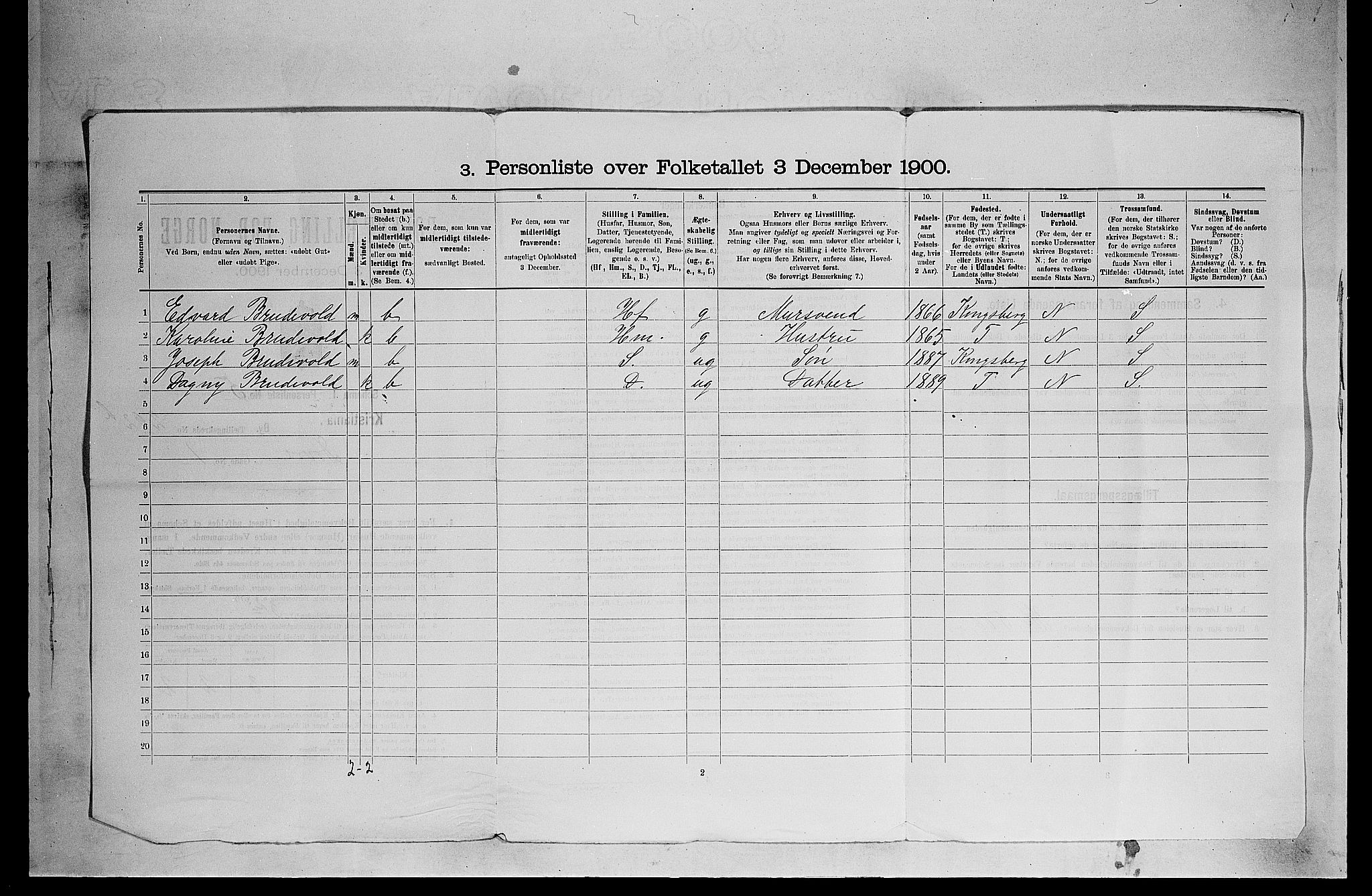 SAO, 1900 census for Kristiania, 1900, p. 16102