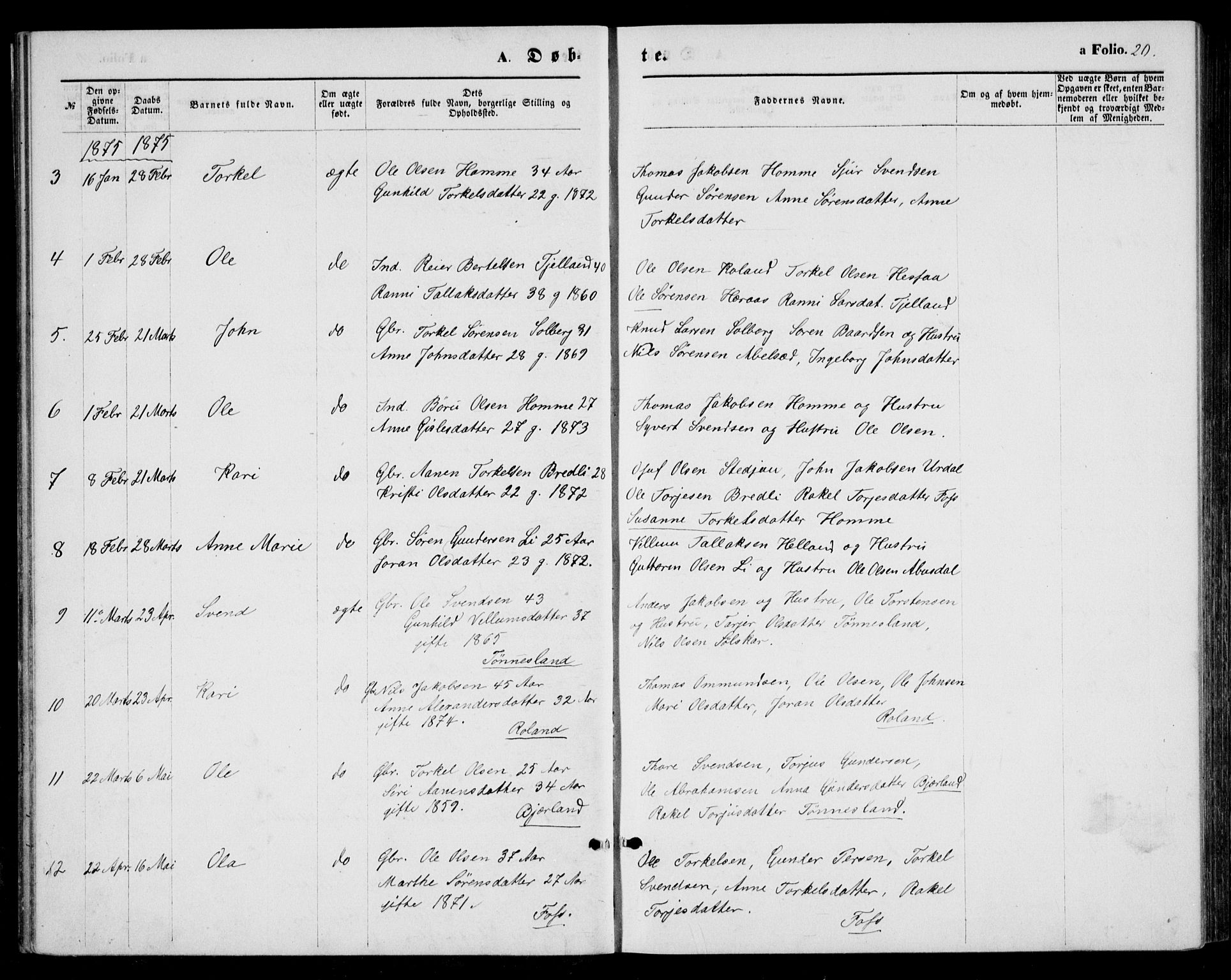 Bjelland sokneprestkontor, AV/SAK-1111-0005/F/Fb/Fba/L0004: Parish register (copy) no. B 4, 1869-1886, p. 20