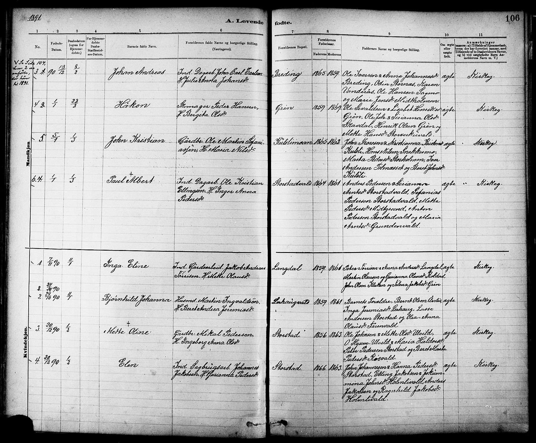 Ministerialprotokoller, klokkerbøker og fødselsregistre - Nord-Trøndelag, SAT/A-1458/724/L0267: Parish register (copy) no. 724C03, 1879-1898, p. 106