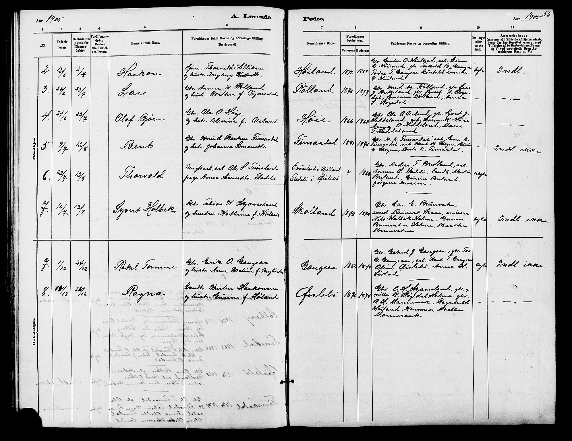 Holum sokneprestkontor, SAK/1111-0022/F/Fb/Fbc/L0003: Parish register (copy) no. B 3, 1882-1908, p. 56