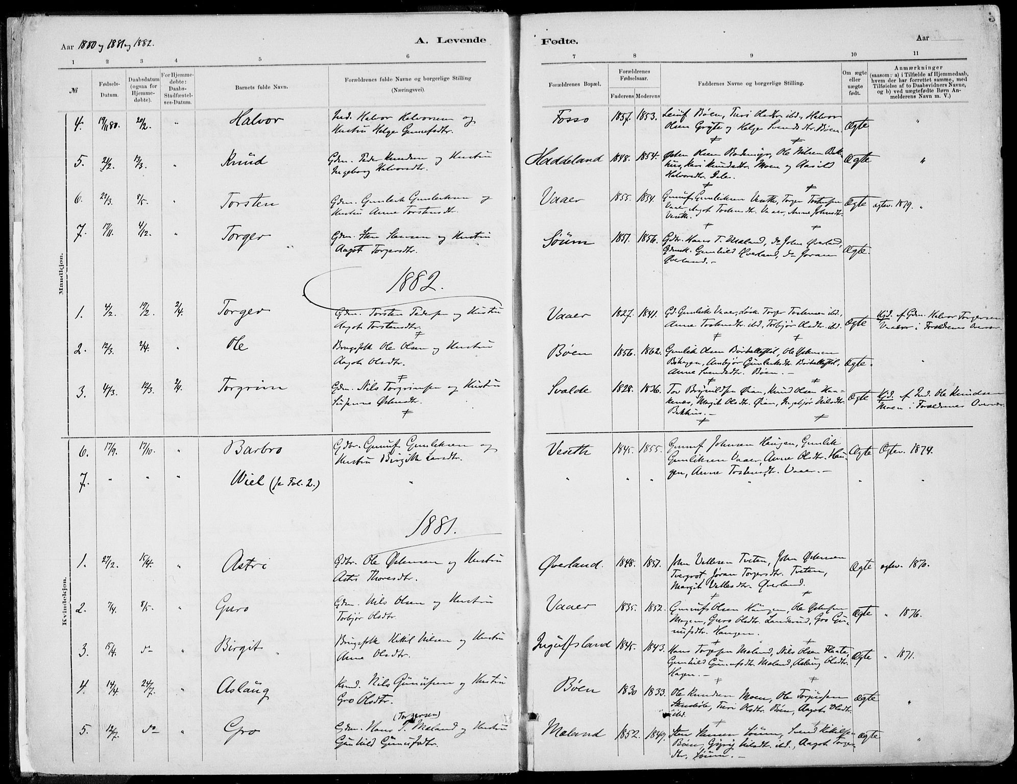 Rjukan kirkebøker, SAKO/A-294/F/Fa/L0001: Parish register (official) no. 1, 1878-1912, p. 3